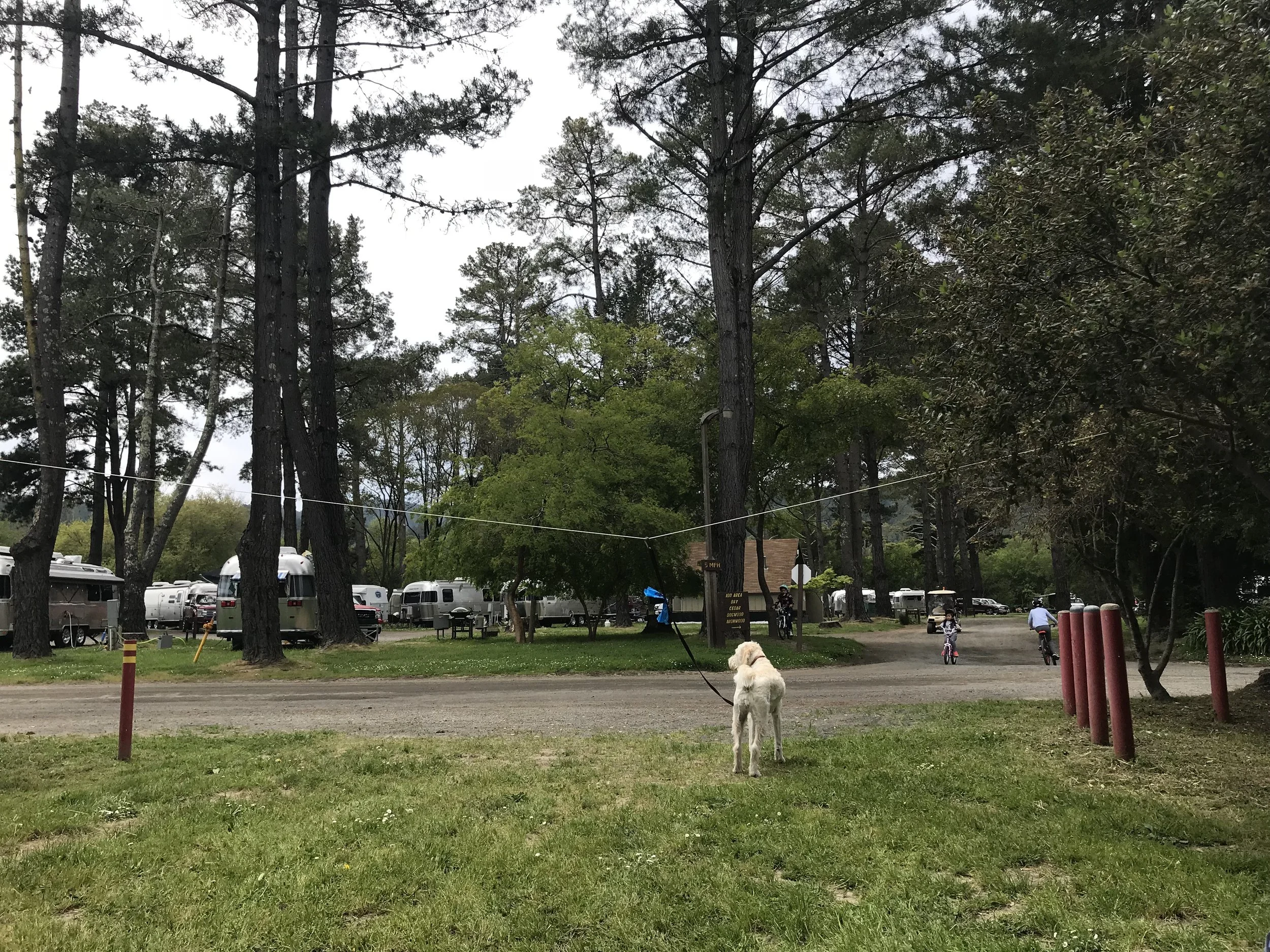 momlikethat - olema campground northbay airstream rally.jpg