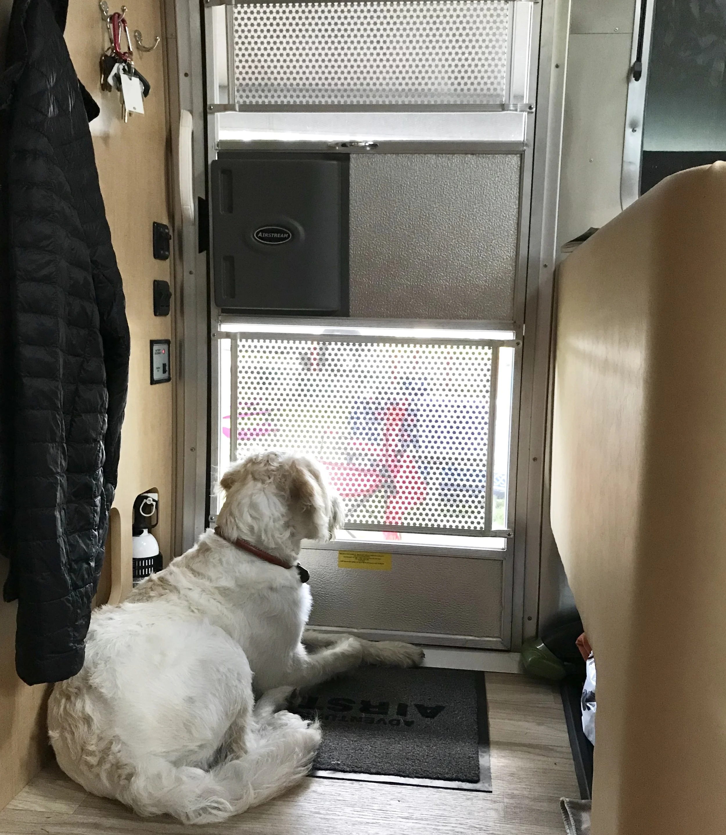 momliketat - stellaviporo inside airstream.jpg