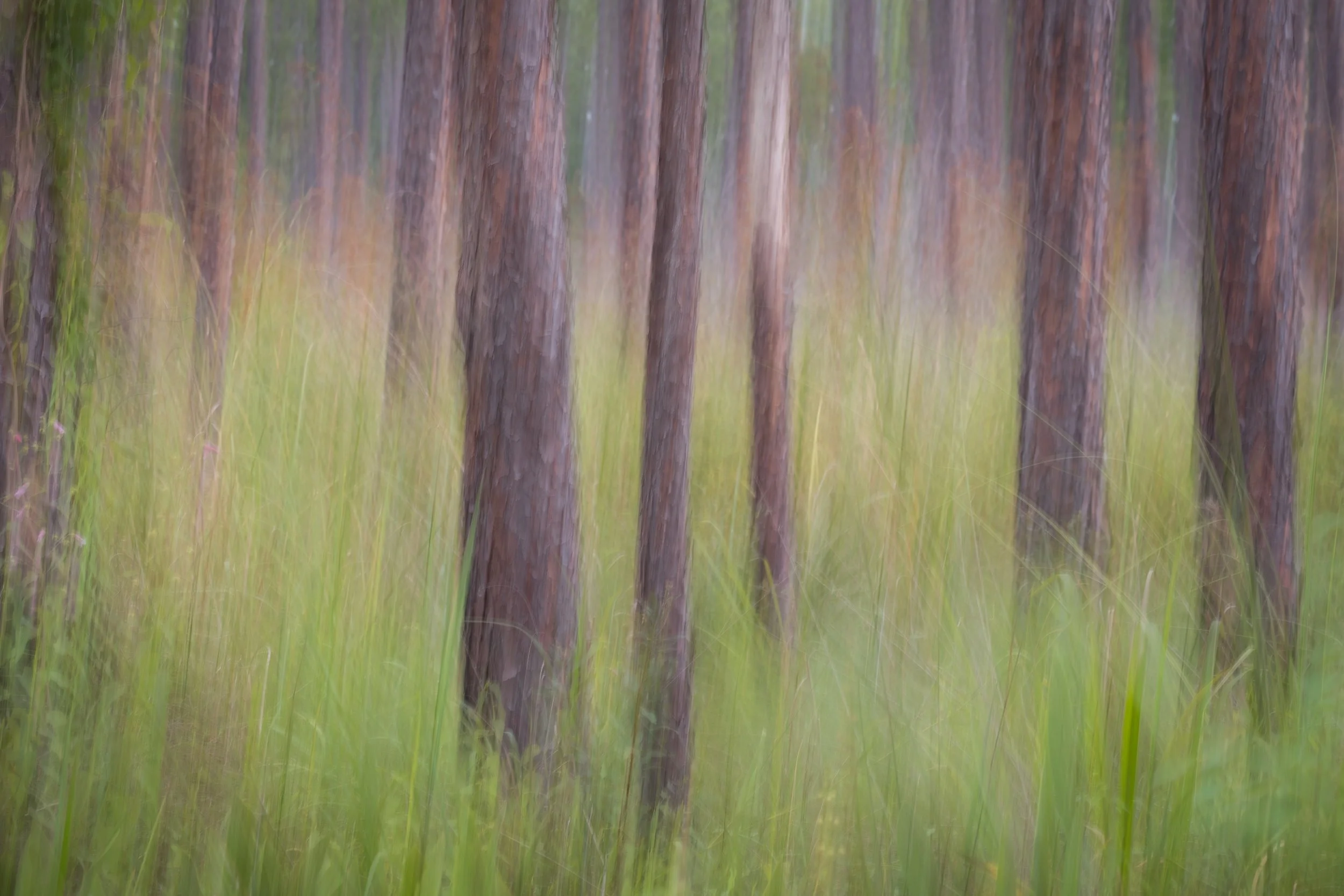 DSC06904-Edit.jpg