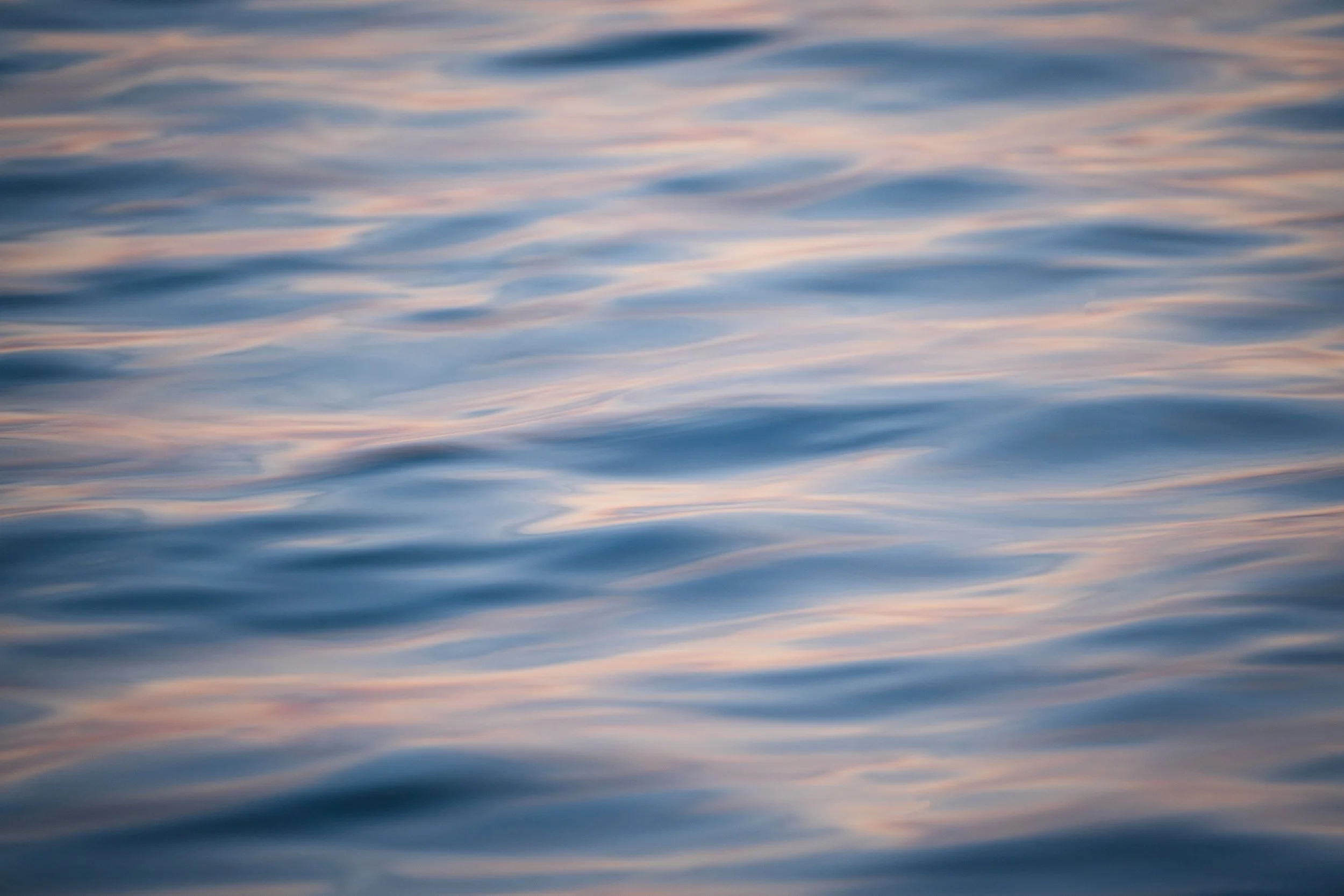 DSC07441-Edit-2.jpg