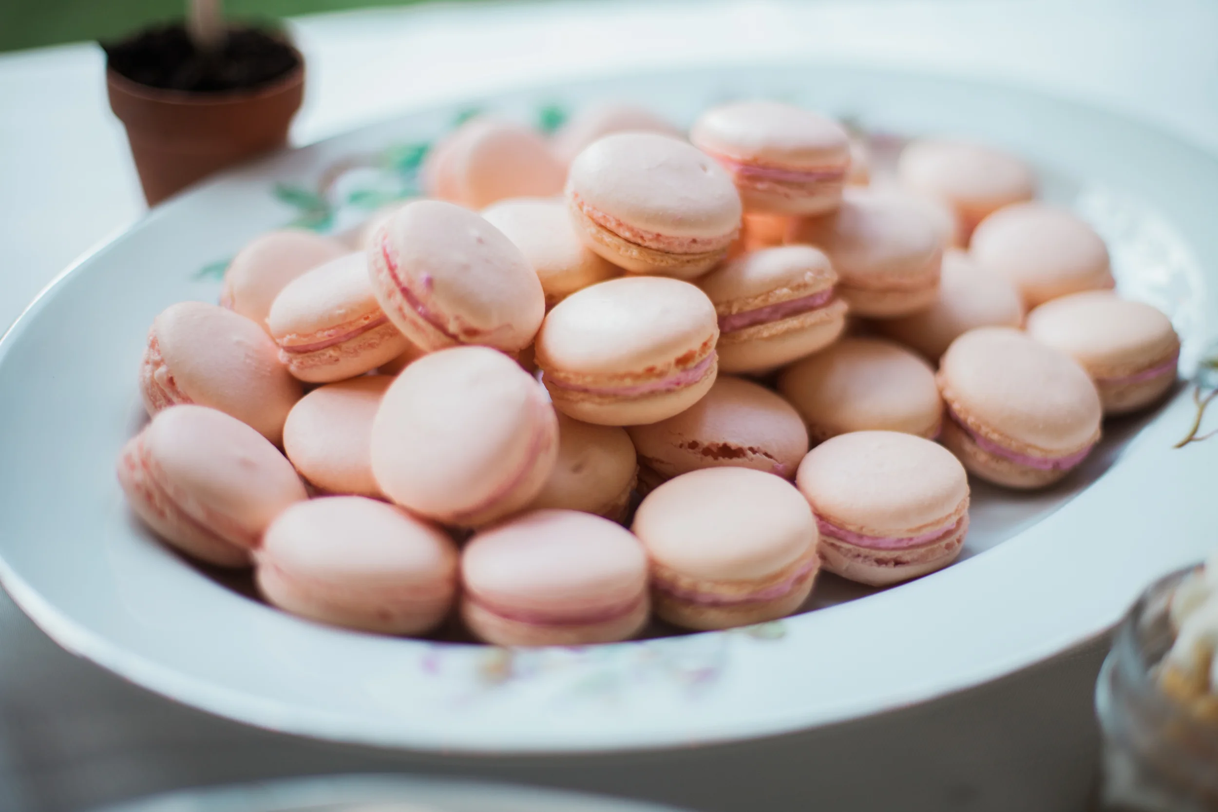 Rasp macs1.jpg