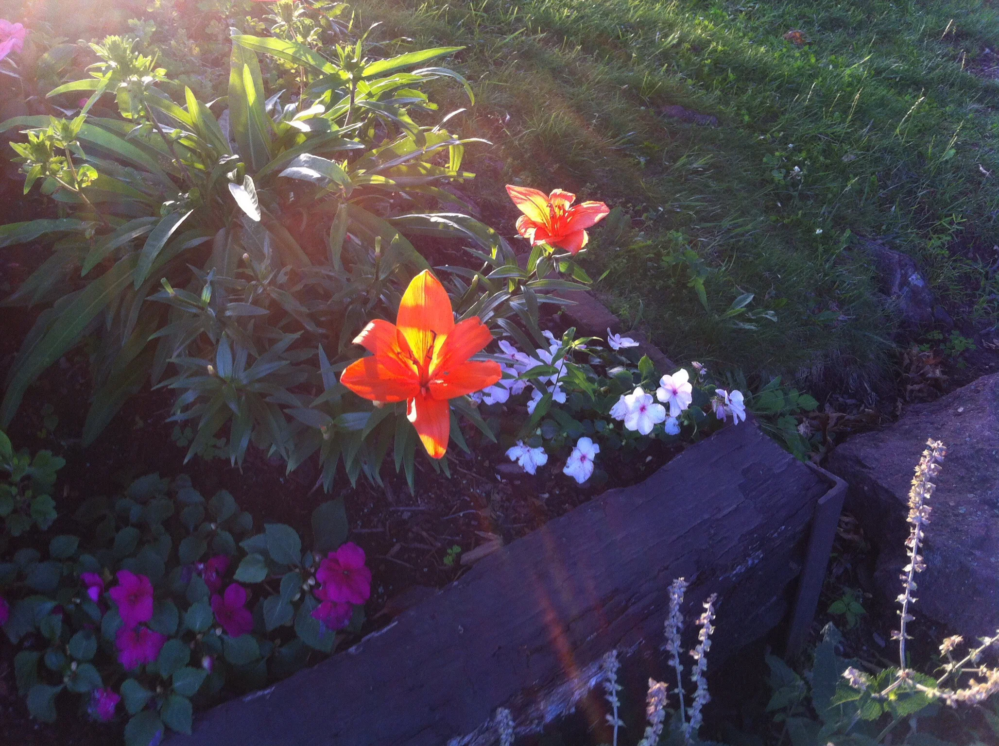 Zen Meditation, chanting, services on July 23