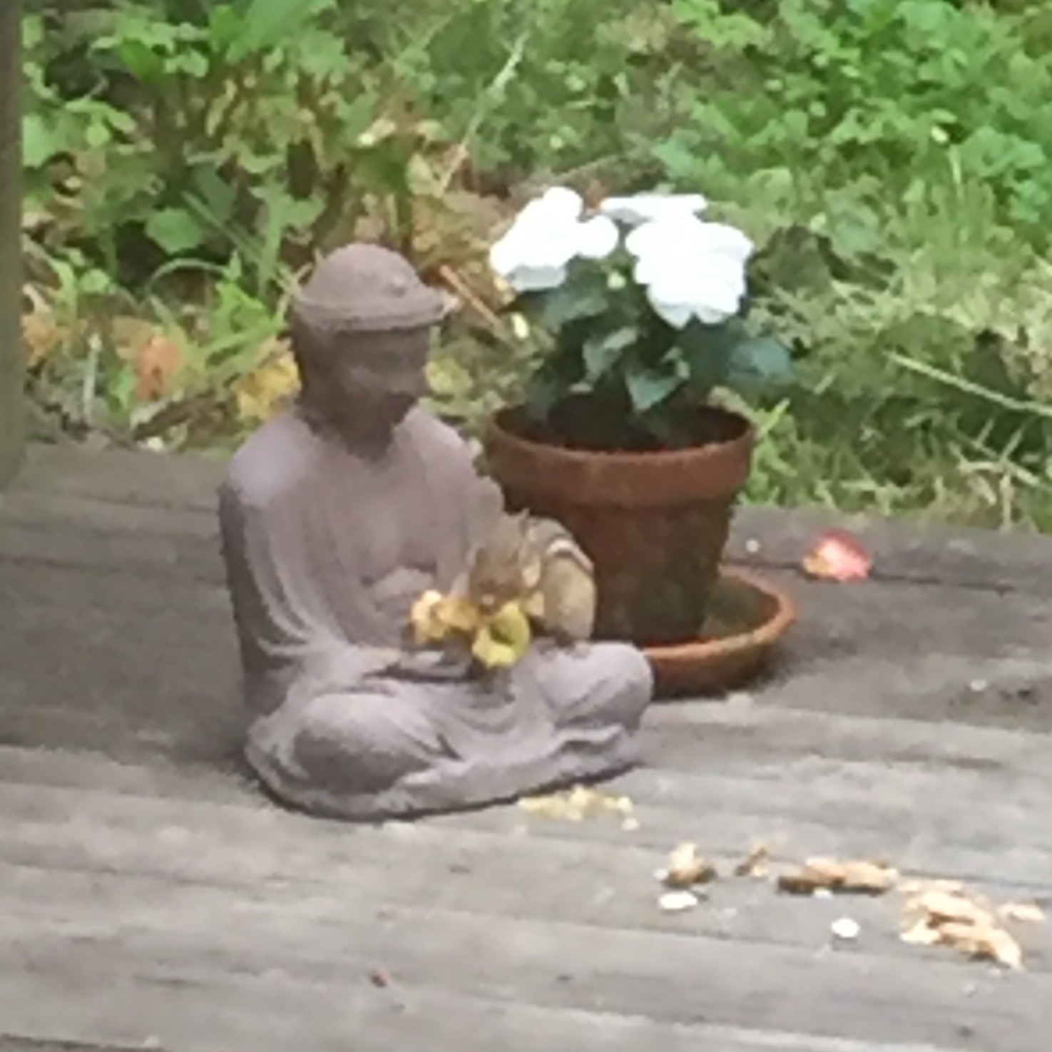 Zen Meditation & Dharma Talk