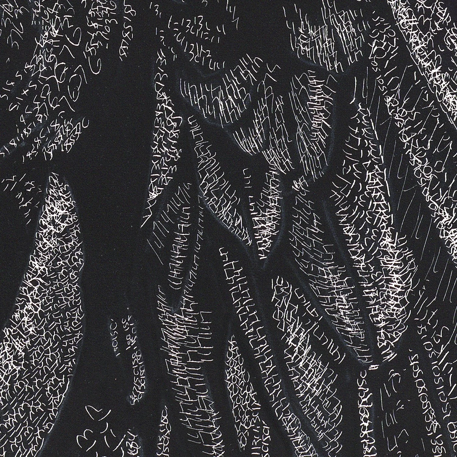 cosmic crow detail 3.jpg