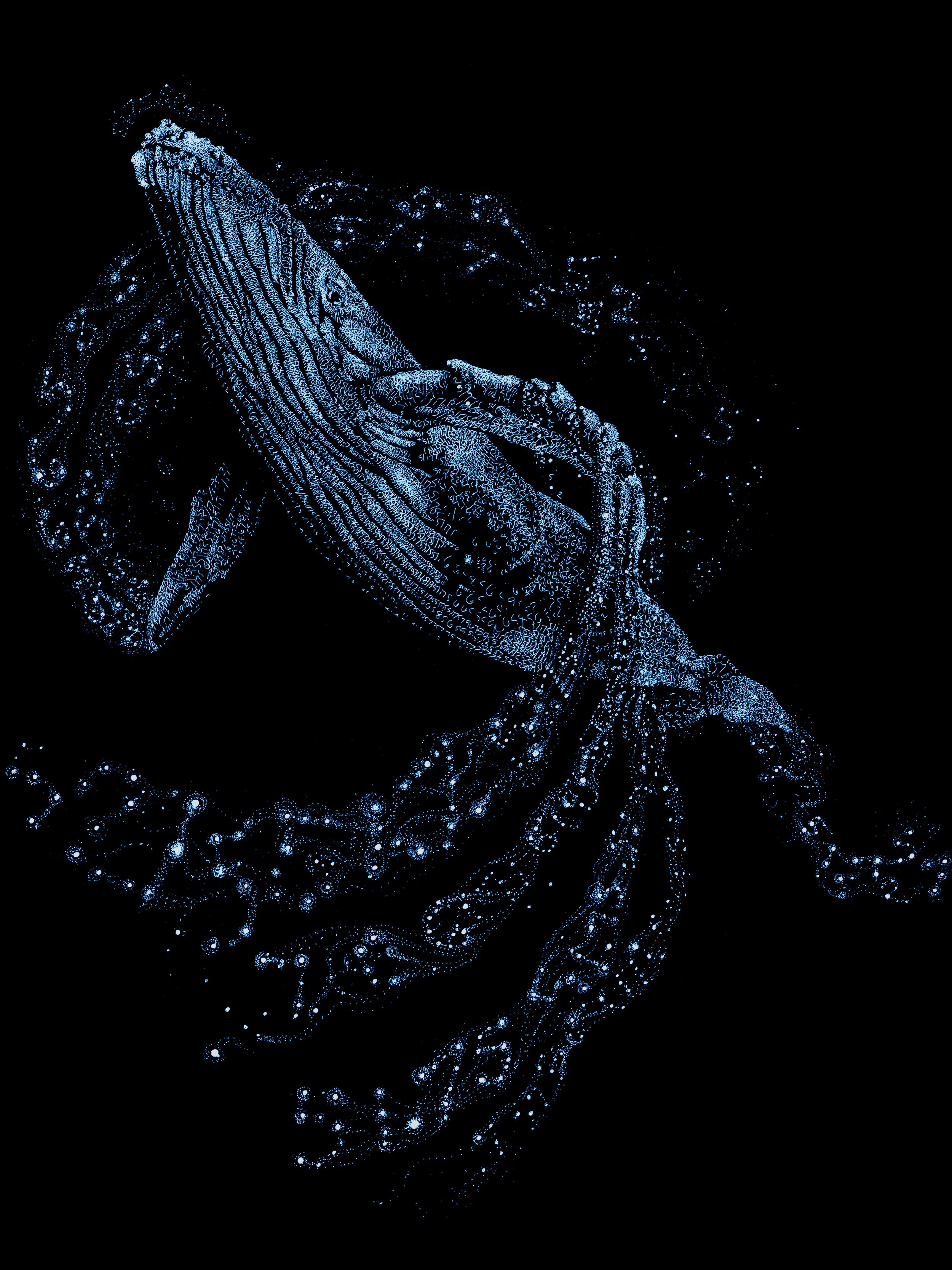 Whale Shirt Transparency.jpg