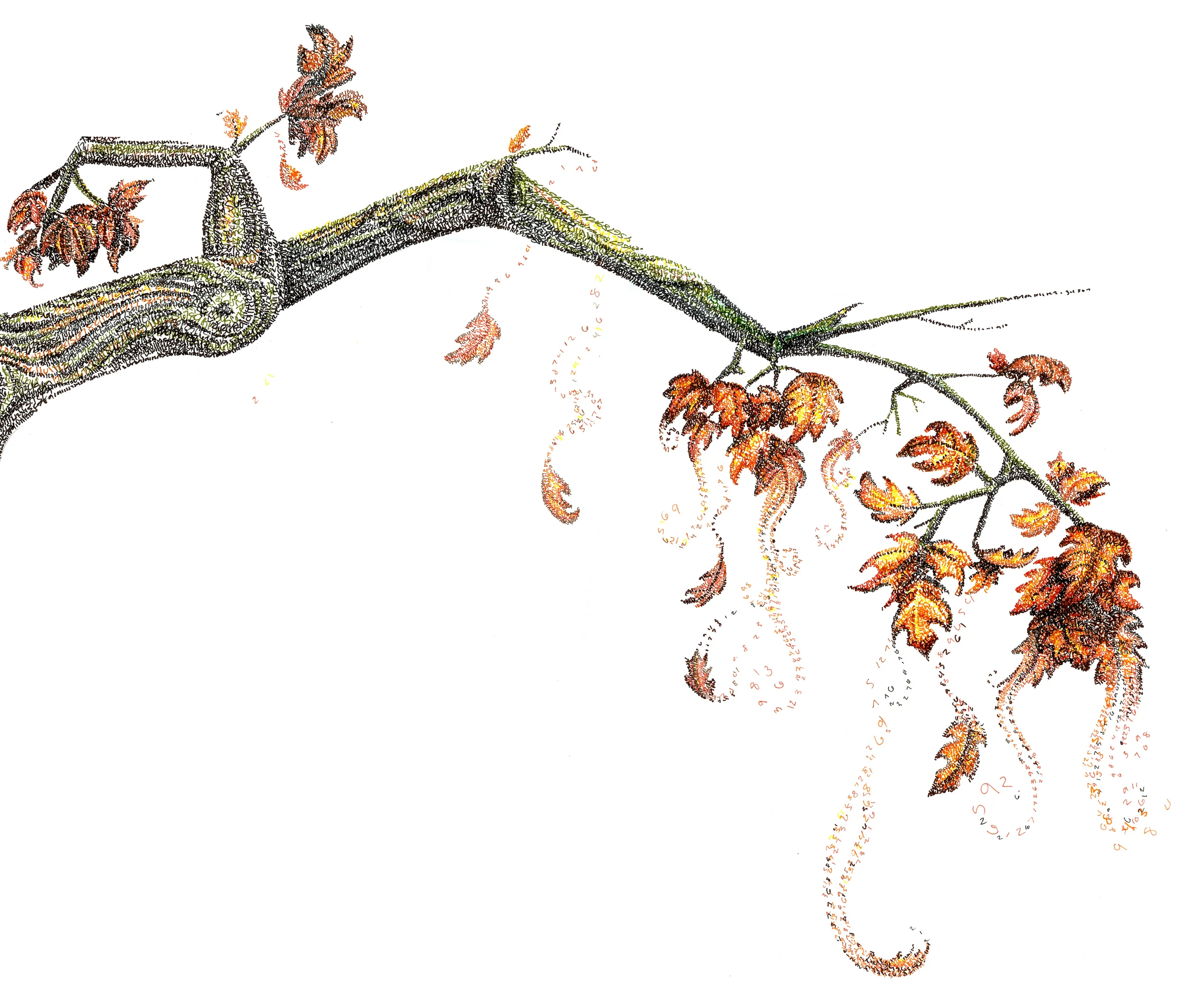 branch11x14.jpg