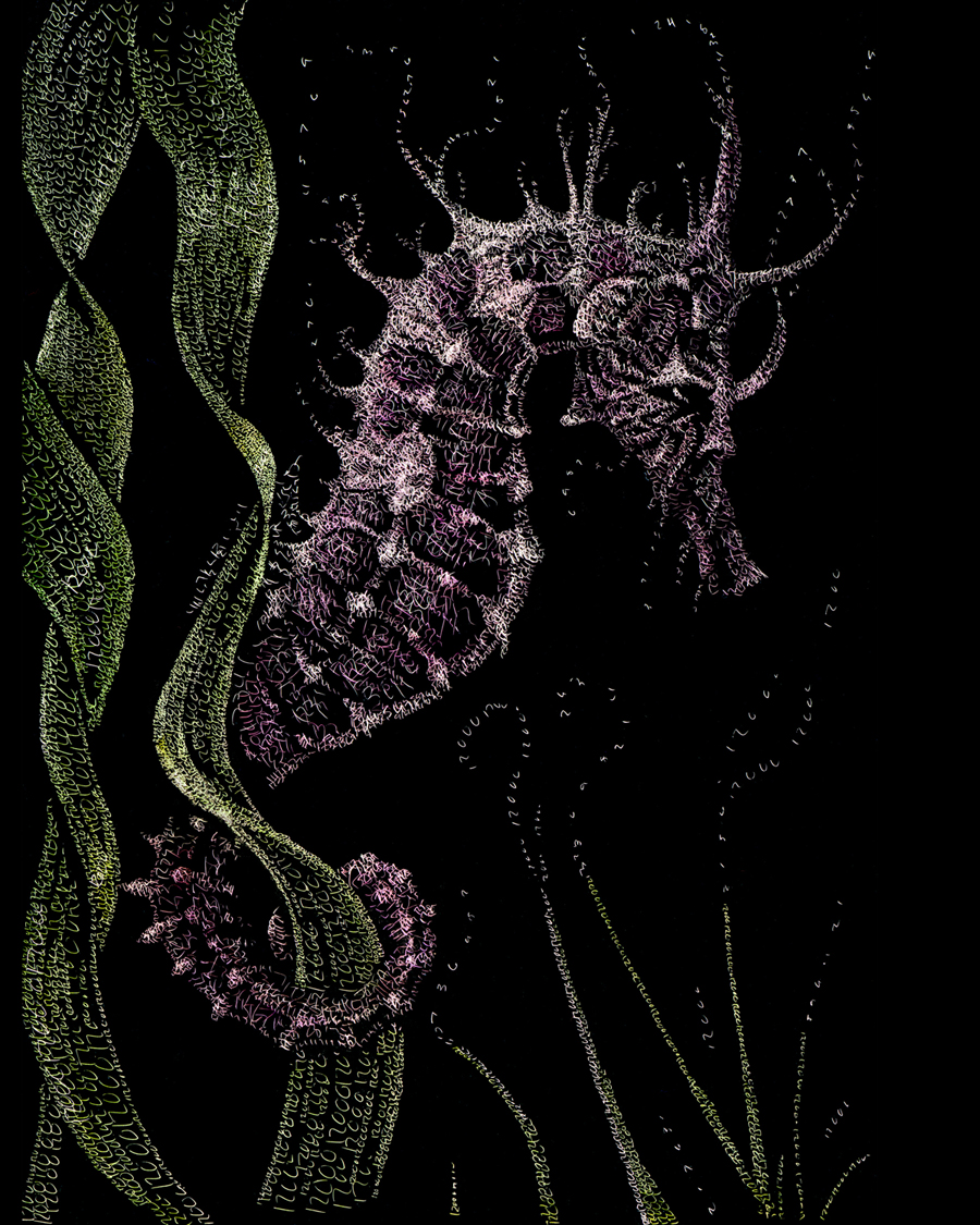 seahorse.jpg