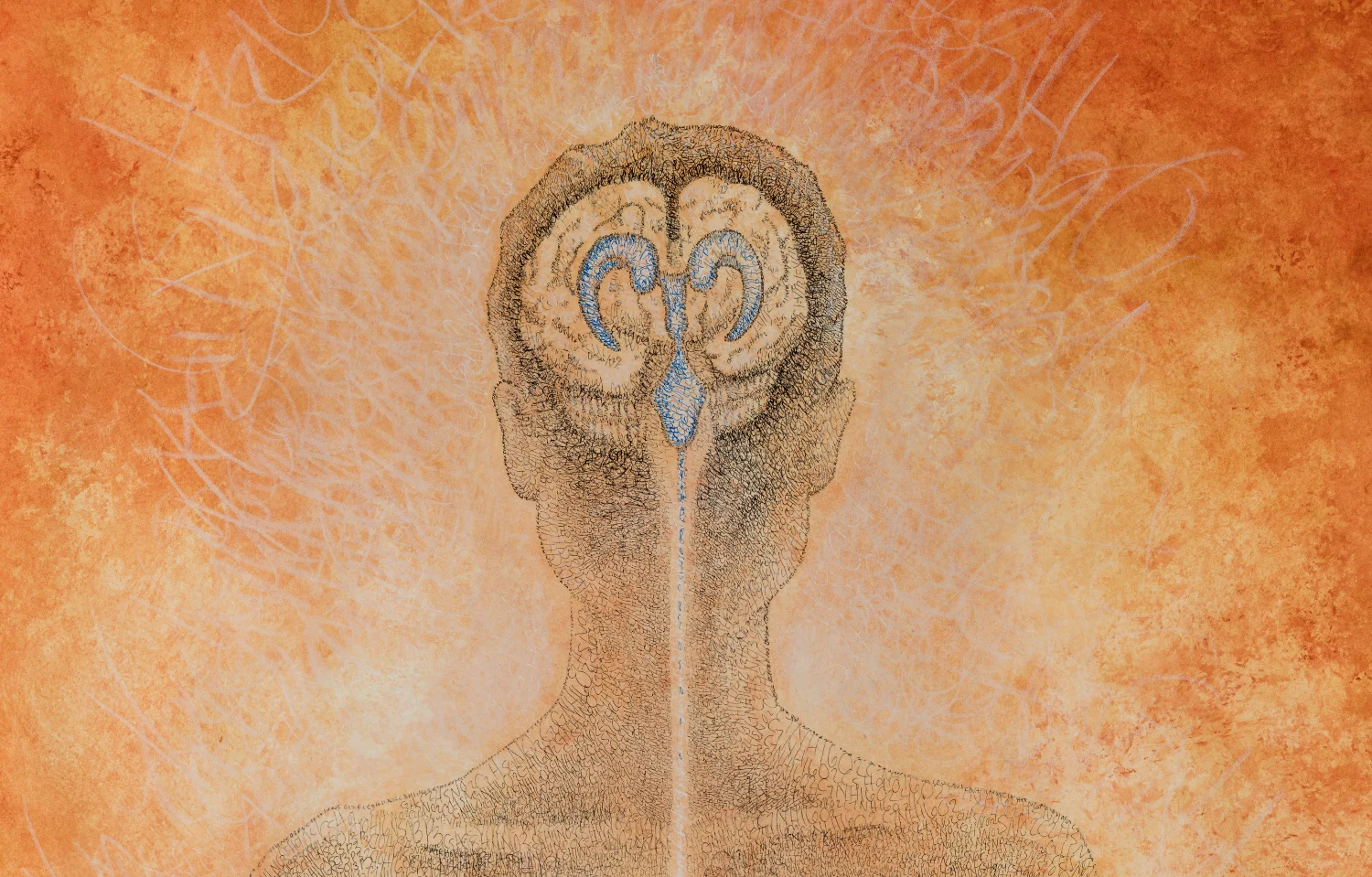 brainVentWEBDETAIL3b.jpg