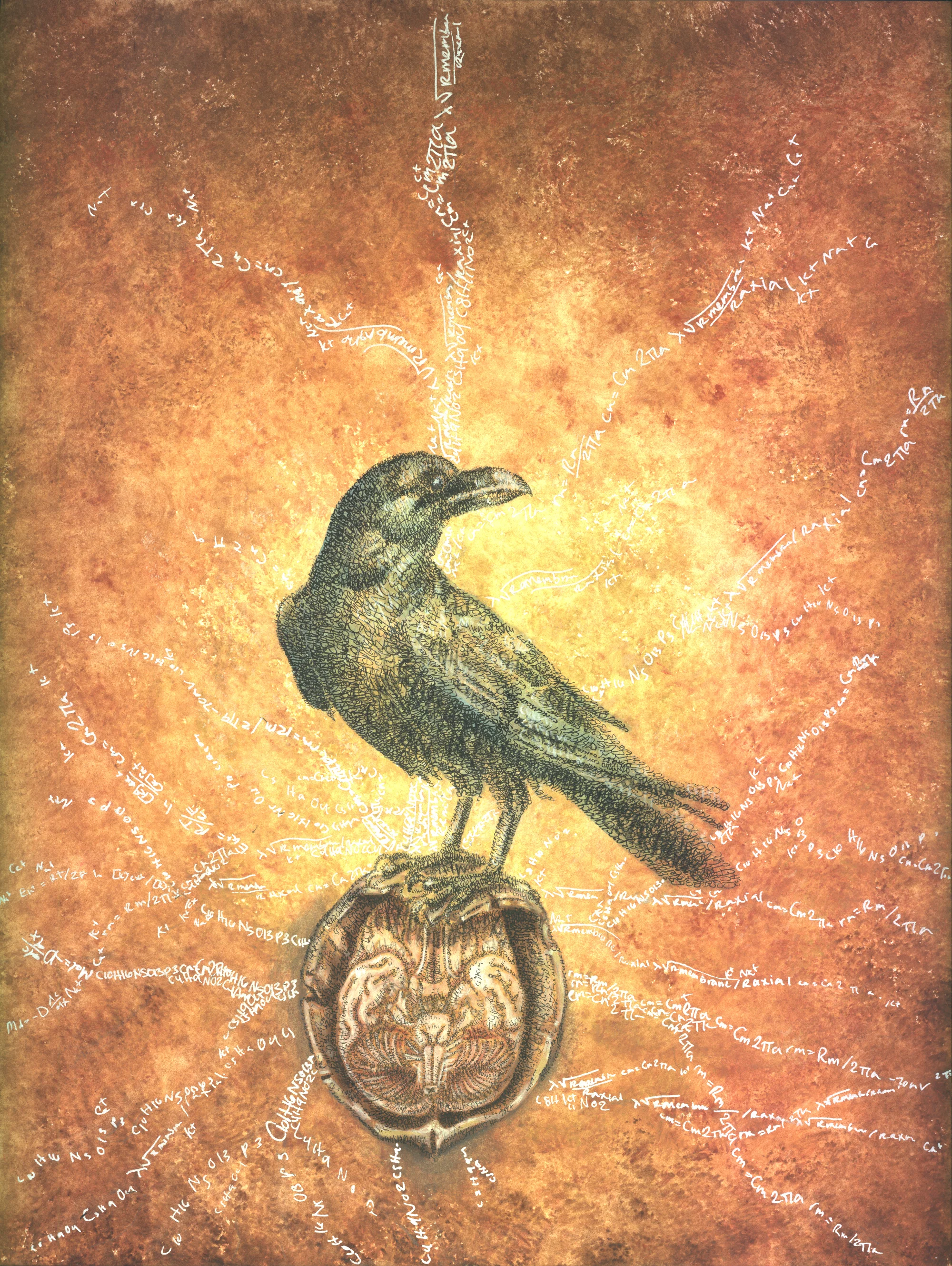 CrowWeb.jpg