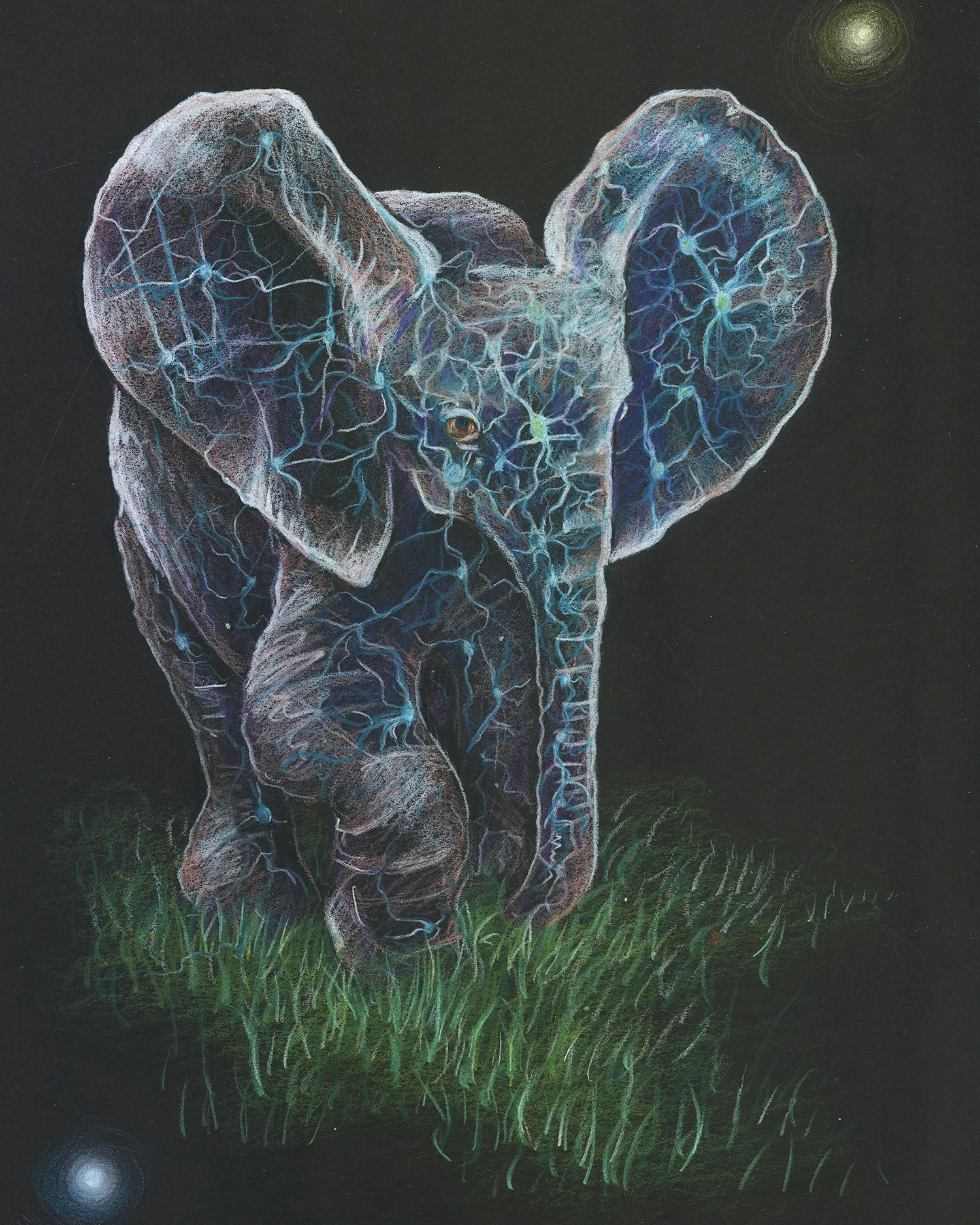 elephant.jpg