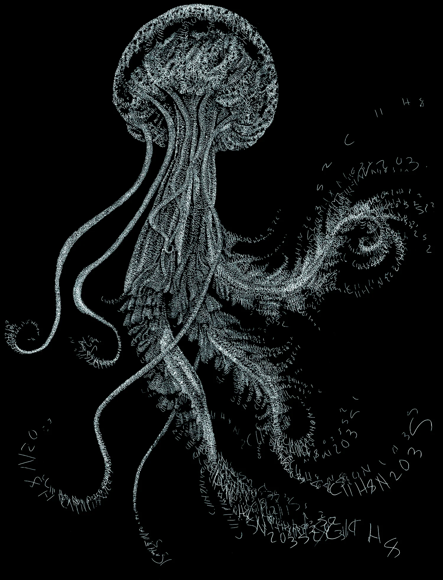 NoctilucaShirt.jpg