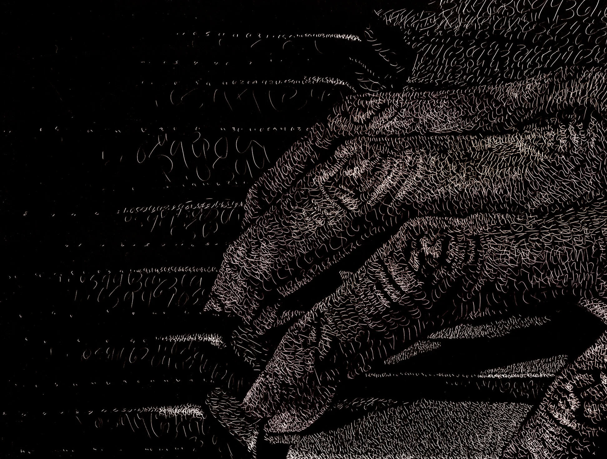 Sense Detail 1.jpg