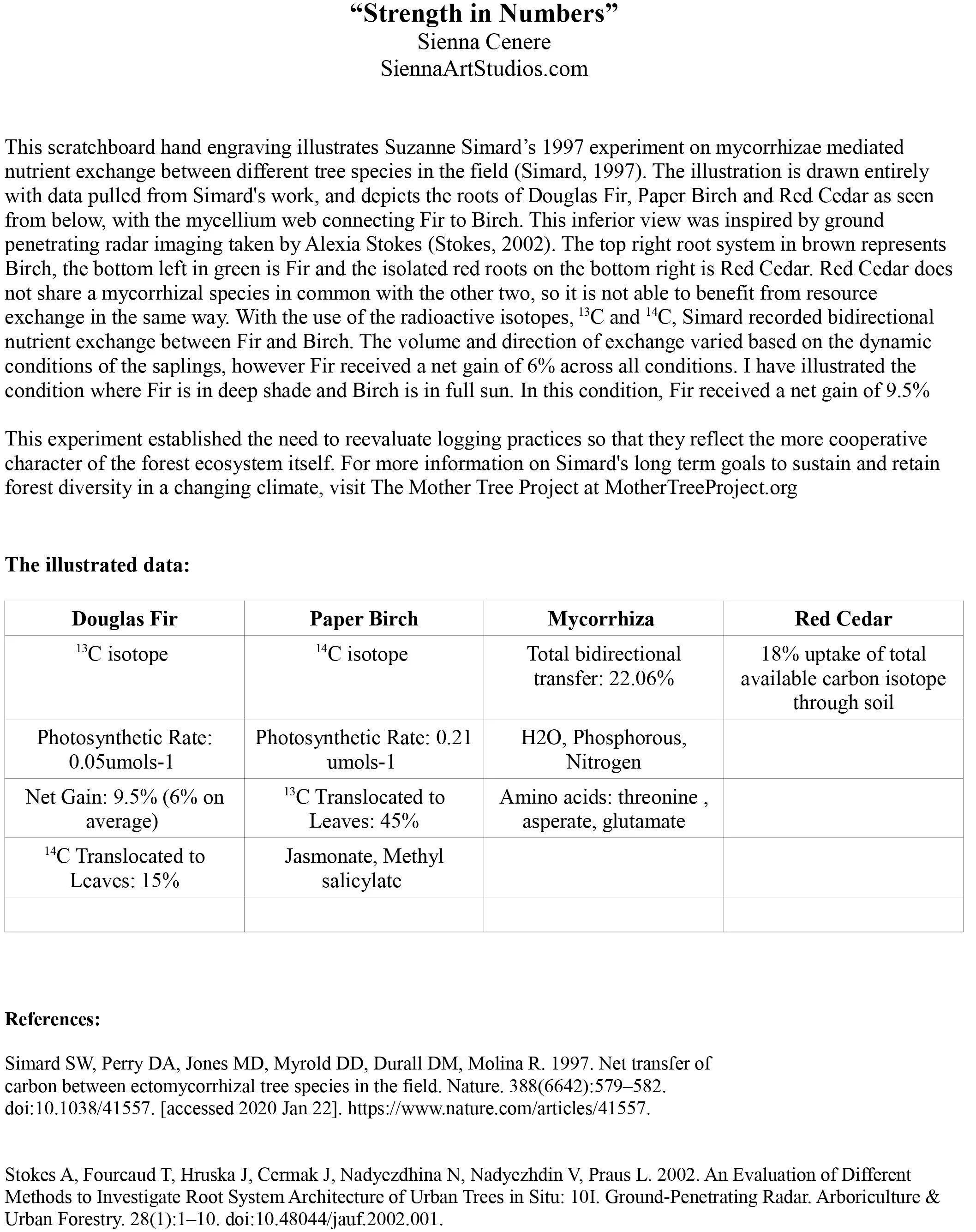 Strength in Numbers.jpg