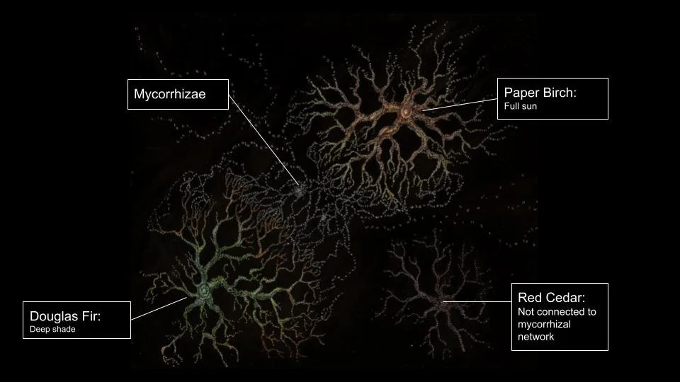 Slide with titles.jpg