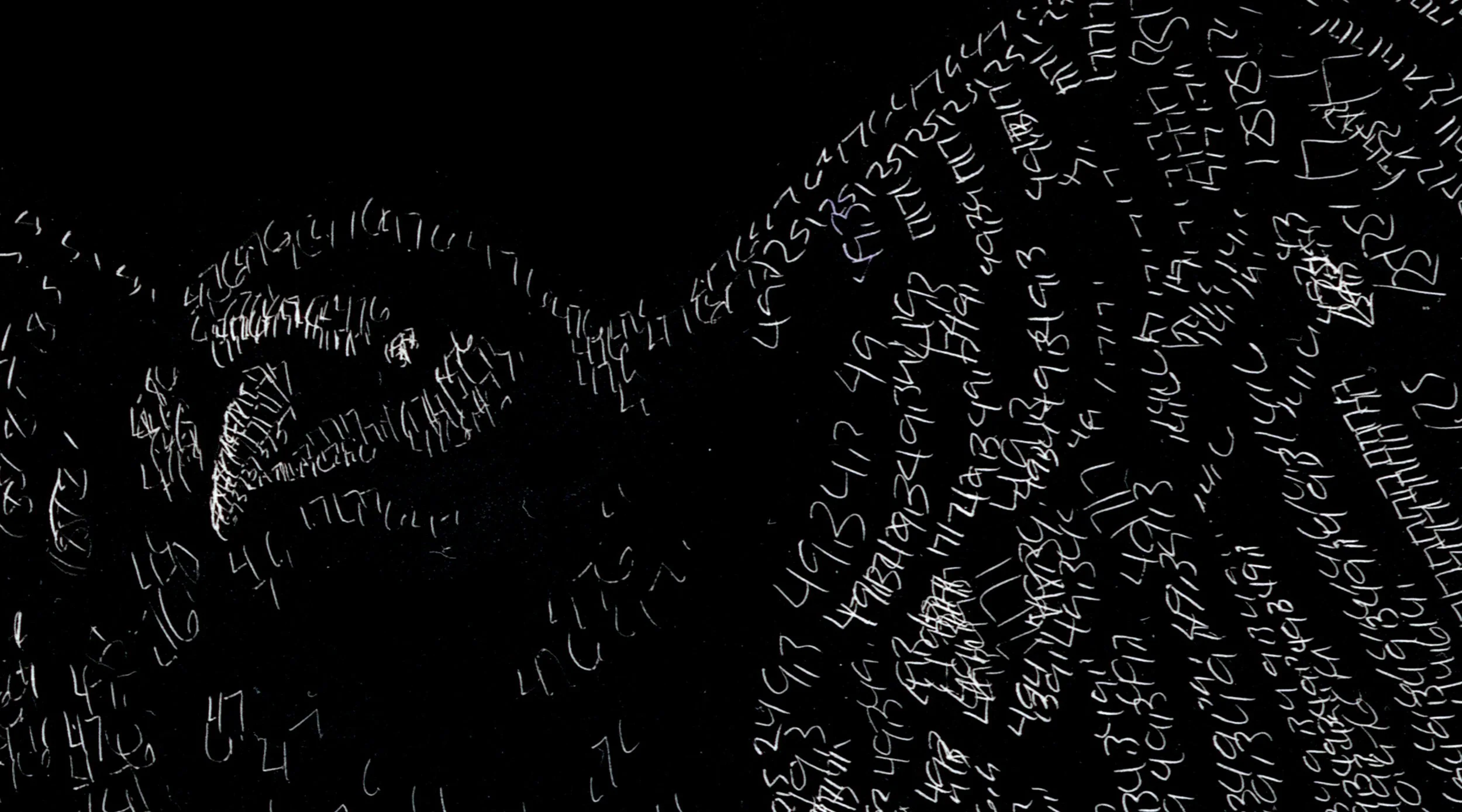 Crow detail 2.jpg (Copy)