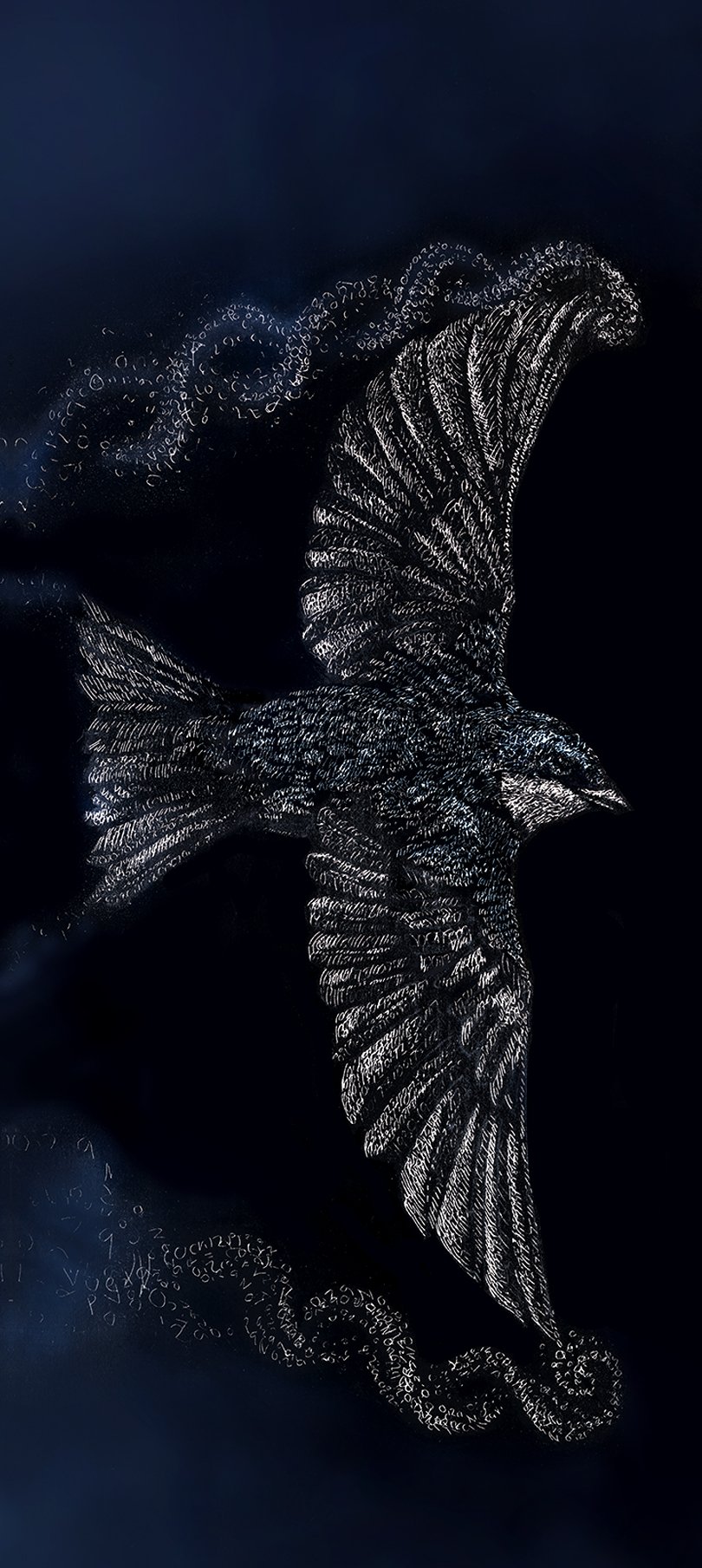 tree swallow web.jpg