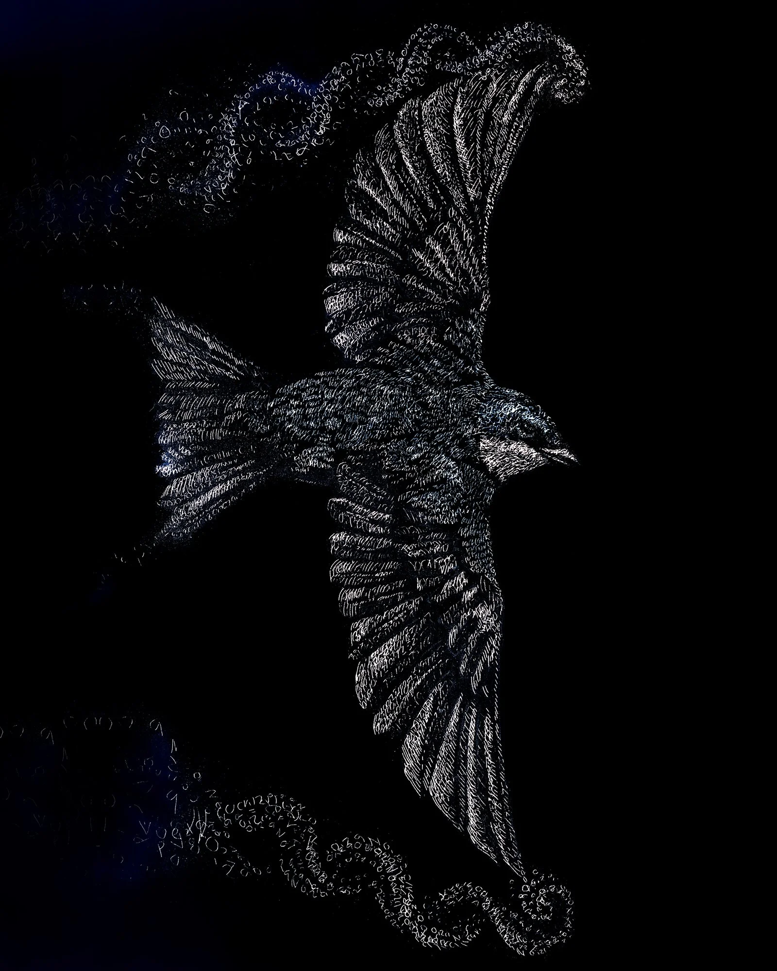 Tree Swallow web.jpg