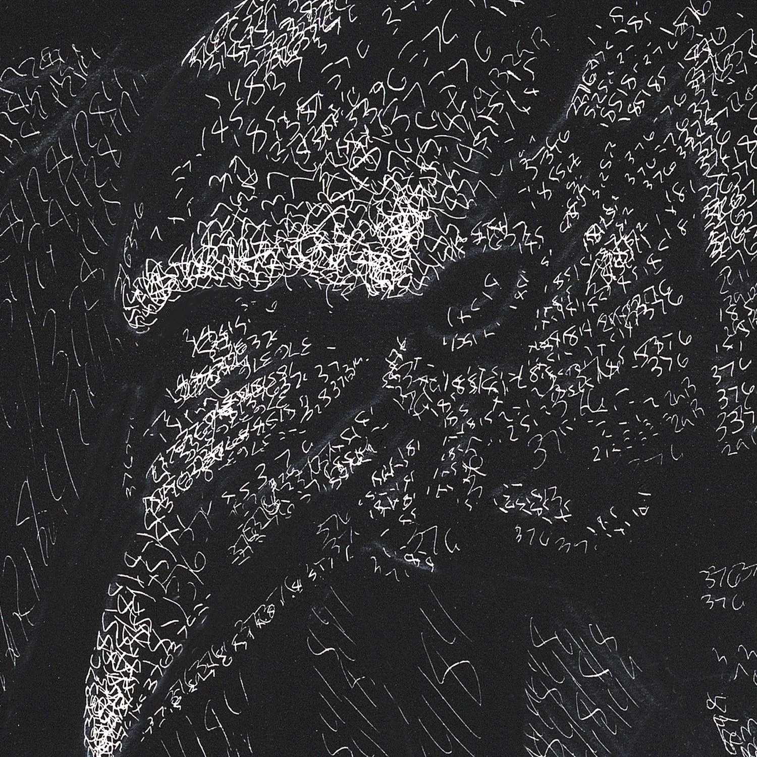 cosmic crow detail 1.jpg