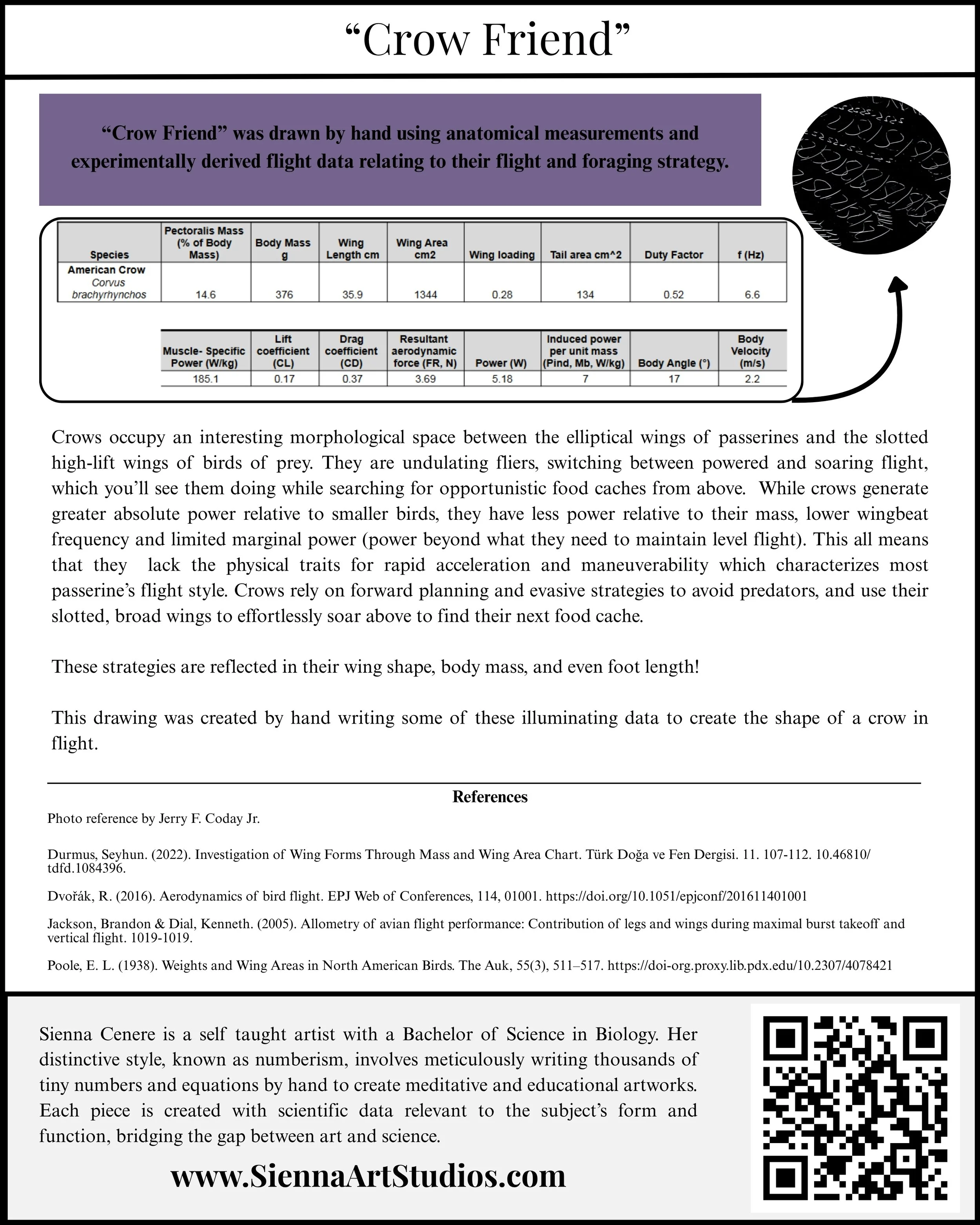 crow friend description.jpg (Copy)