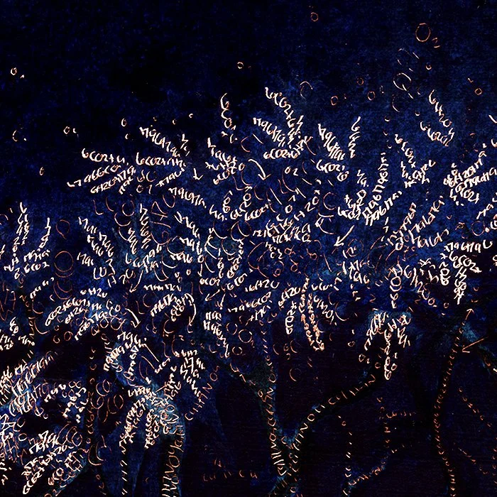 symbiosis detail 4.jpg