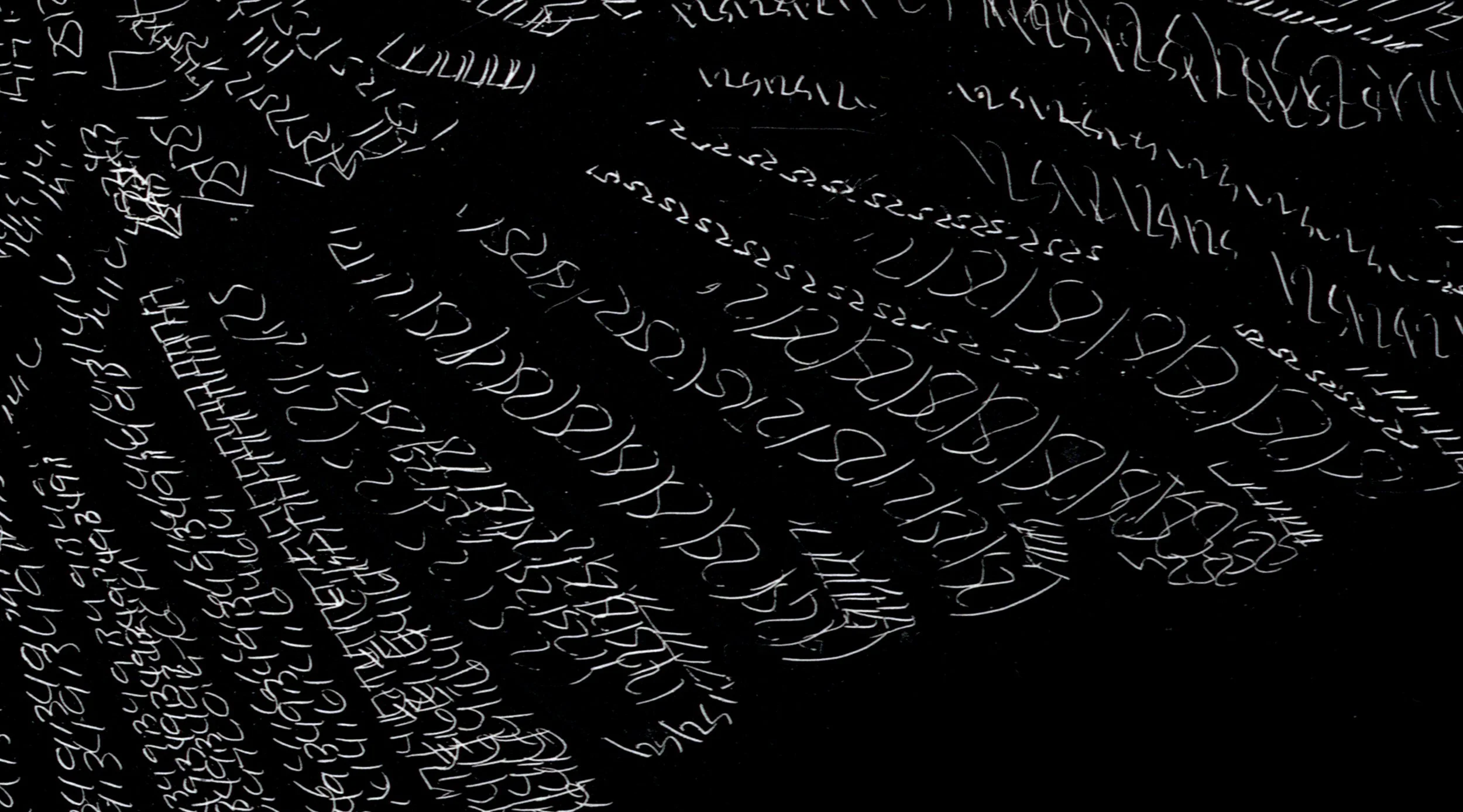 Crow detail 3.jpg (Copy)