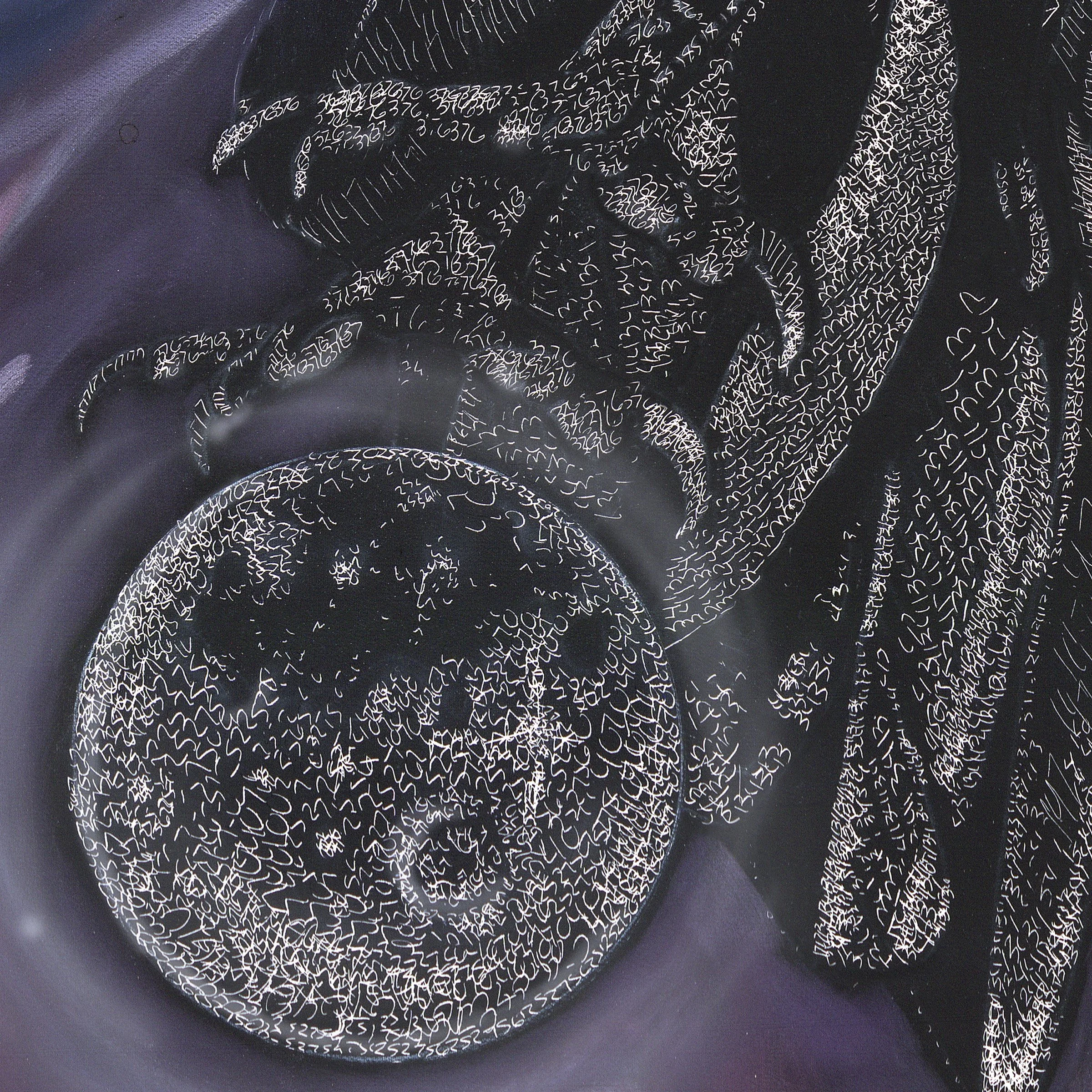 cosmic crow detail 4.jpg