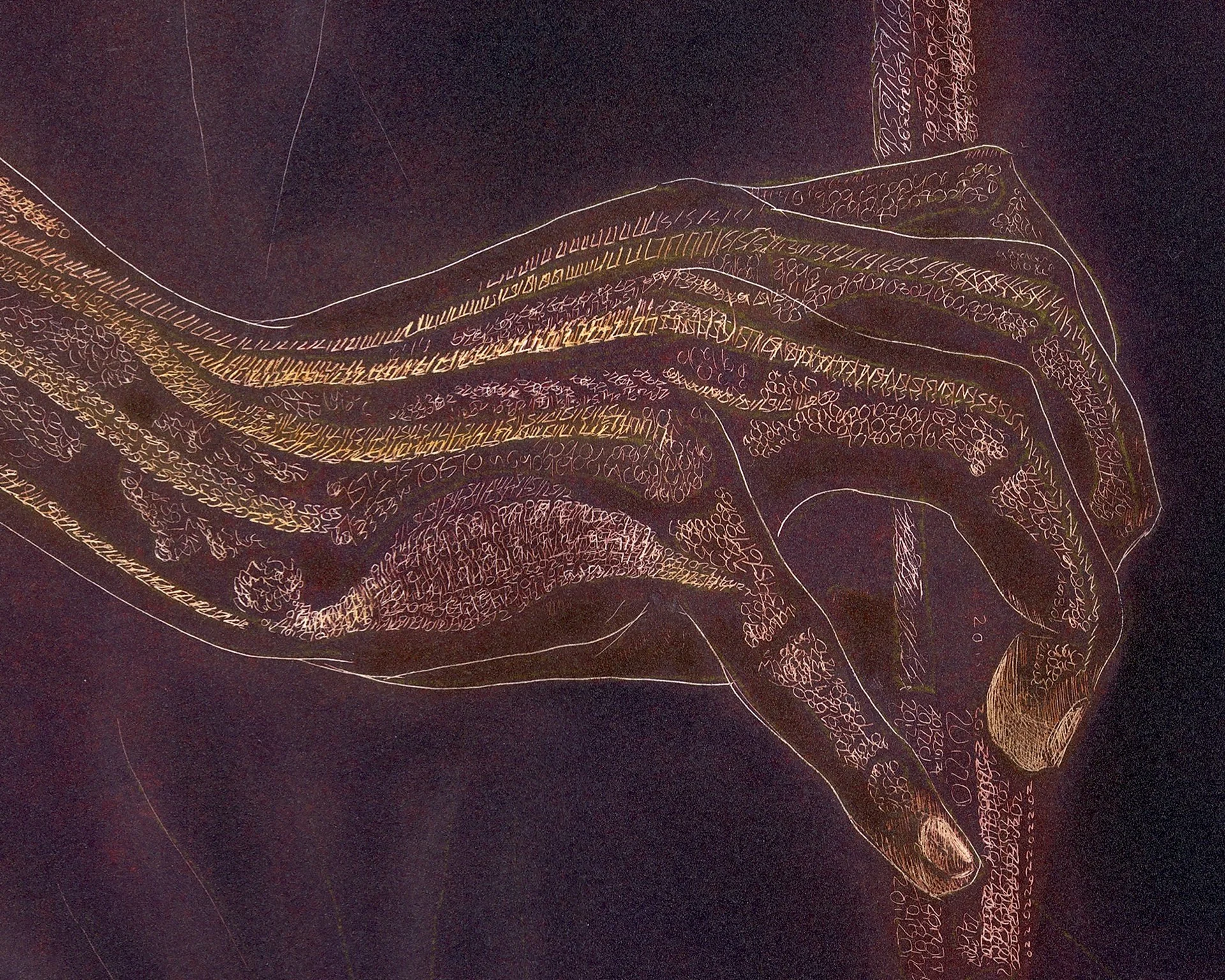 Anatomical VIolinist DETAIL 6.jpg (Copy)