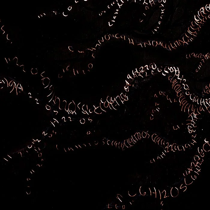 symbiosis detail 6.jpg