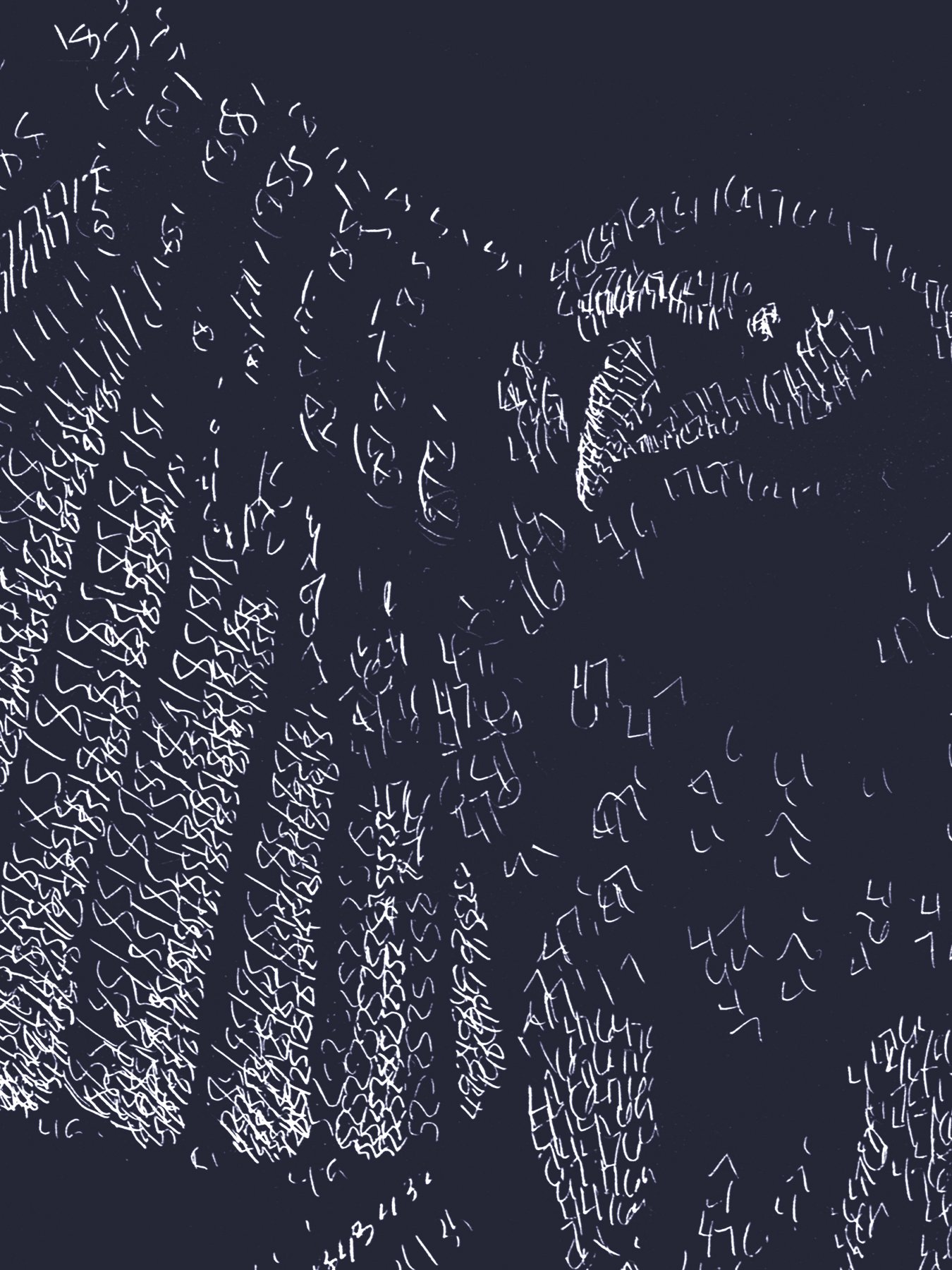 Crow Friend detail 3.jpg