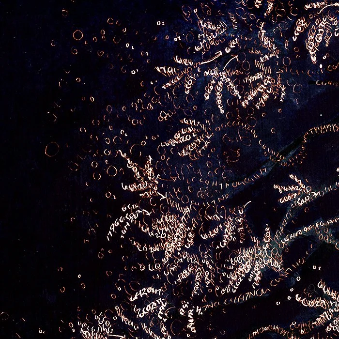 symbiosis detail 3.jpg