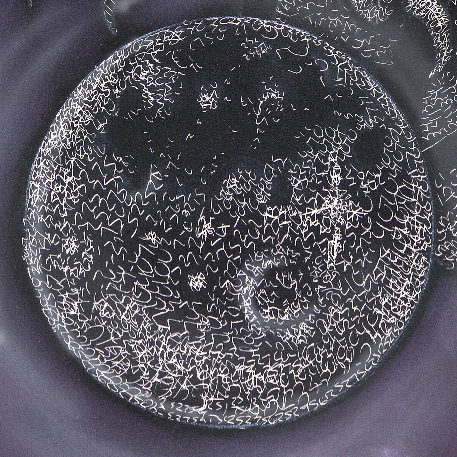 cosmic crow detail 2.jpg