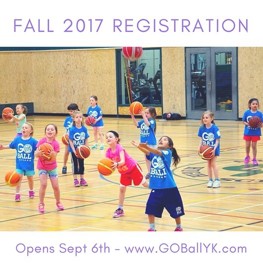 Fall 2017 session is coming! 
Online registration will open on Sept 6th. In the meantime, check out our website for info and updated division categories this year.
www.GOBallYK.com