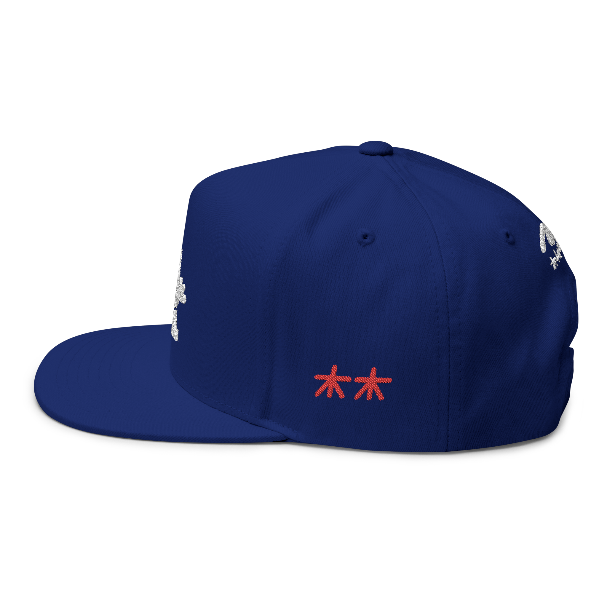Tommii Lim_Doyer Blue Snap Back Hat Side Left.png