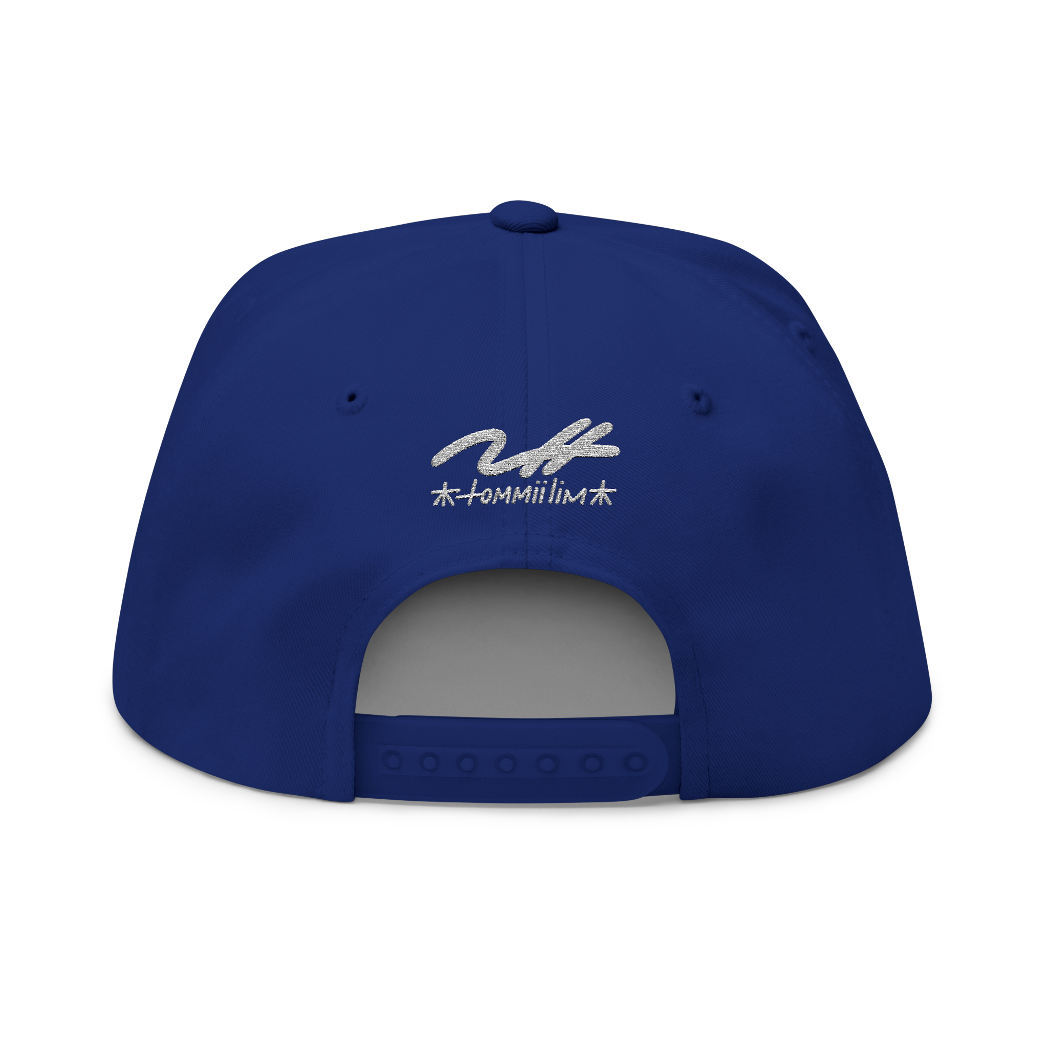 Tommii Lim_Doyer Blue Snap Back Hat Back.png