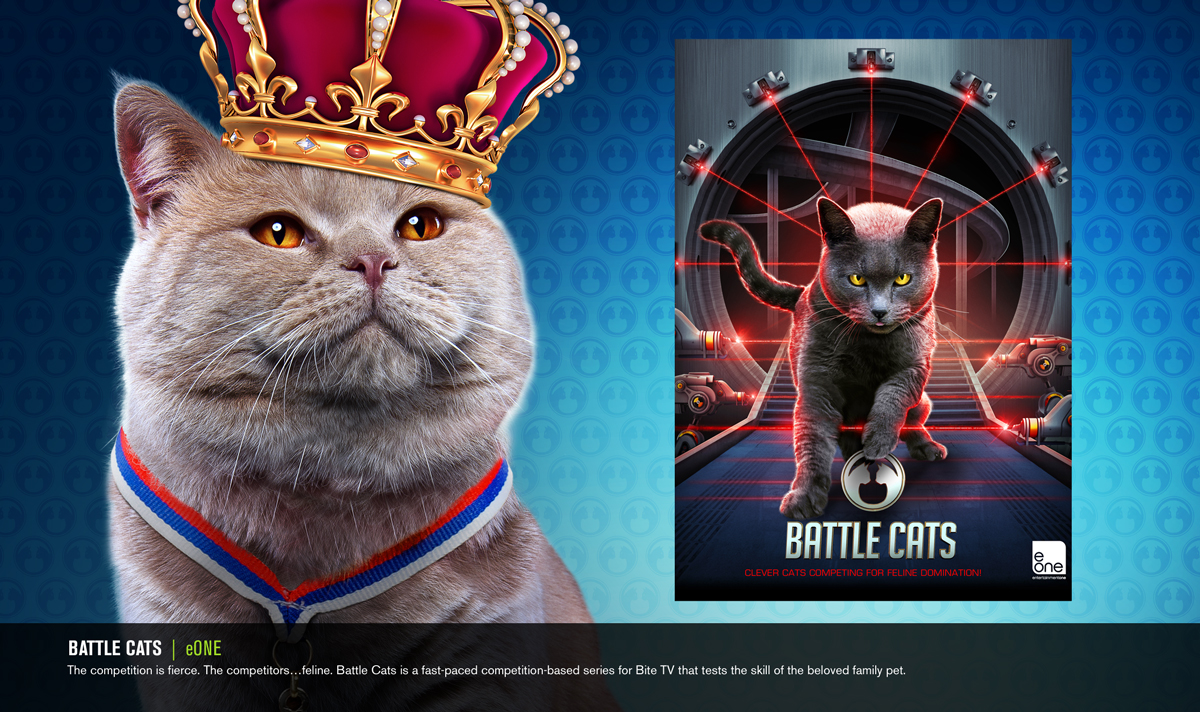 BATTLECATS-POP-UP-WEB.jpg