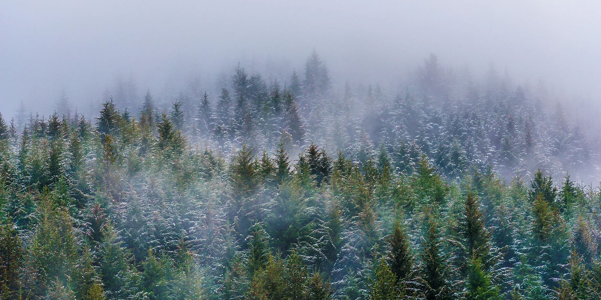 Between clouds.jpg