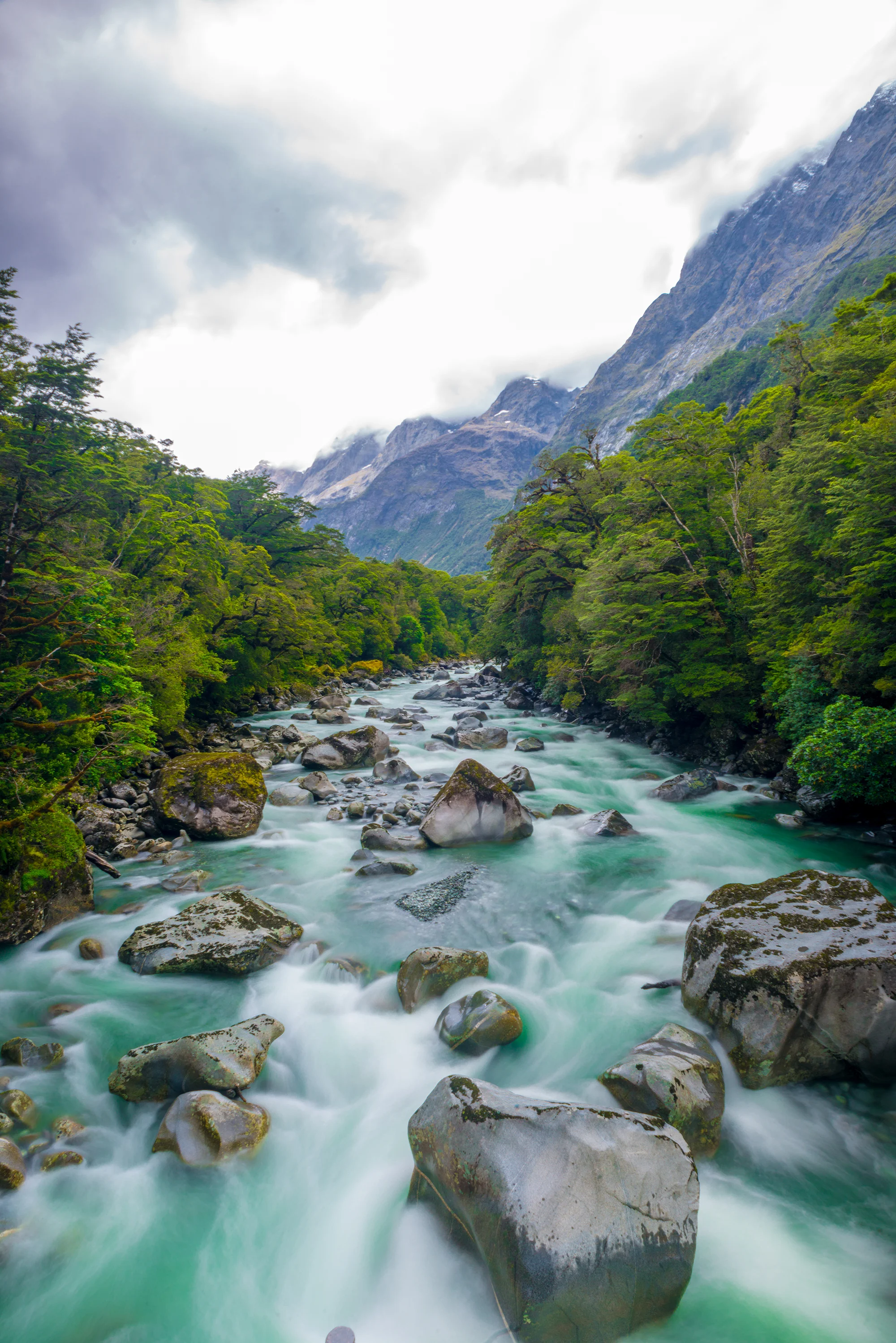 Rivers on the way to Milford Sound.jpg