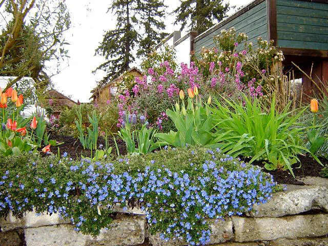Detail - Langley Motel Garden Design & Installation