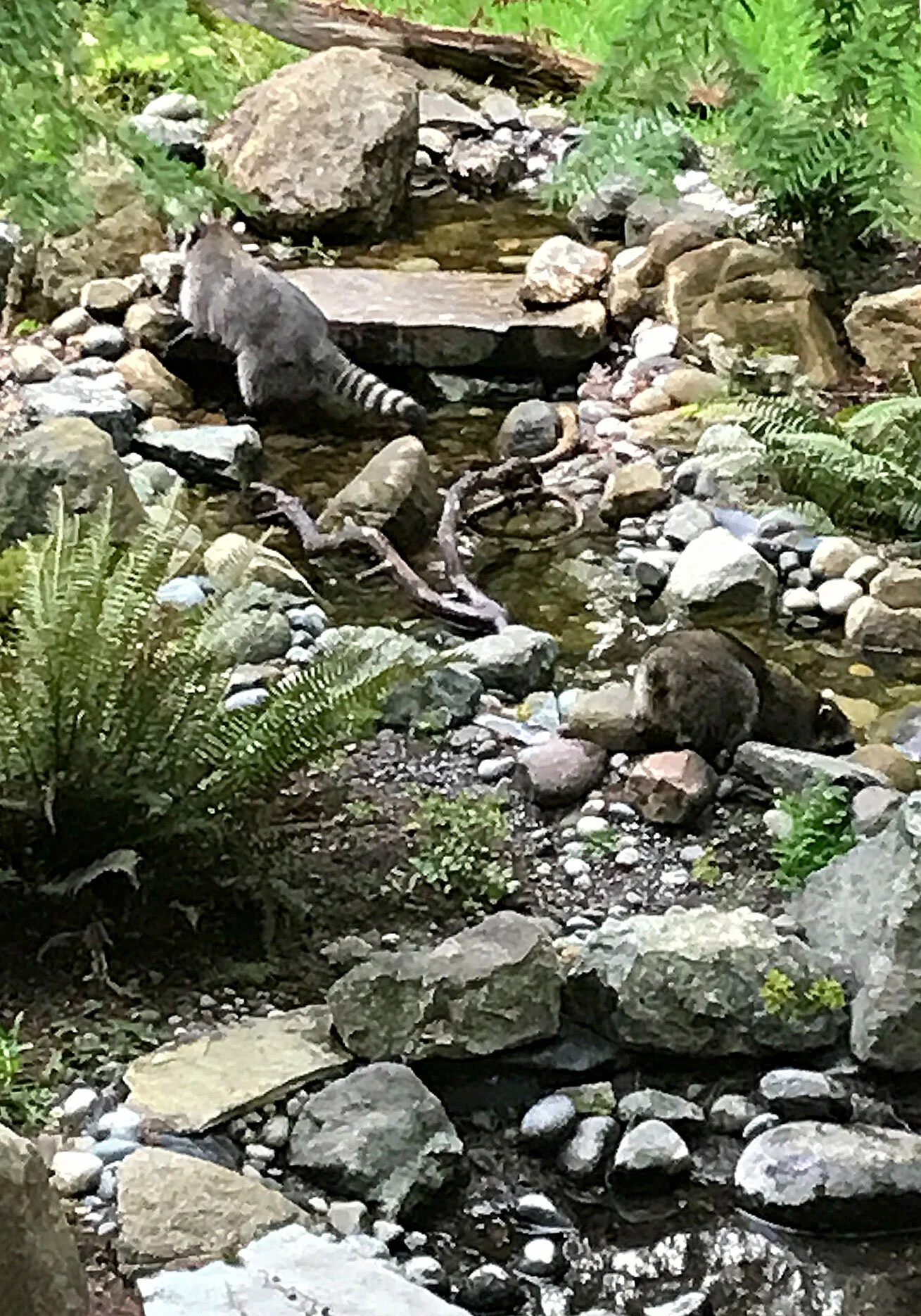 Rock Work and Nature