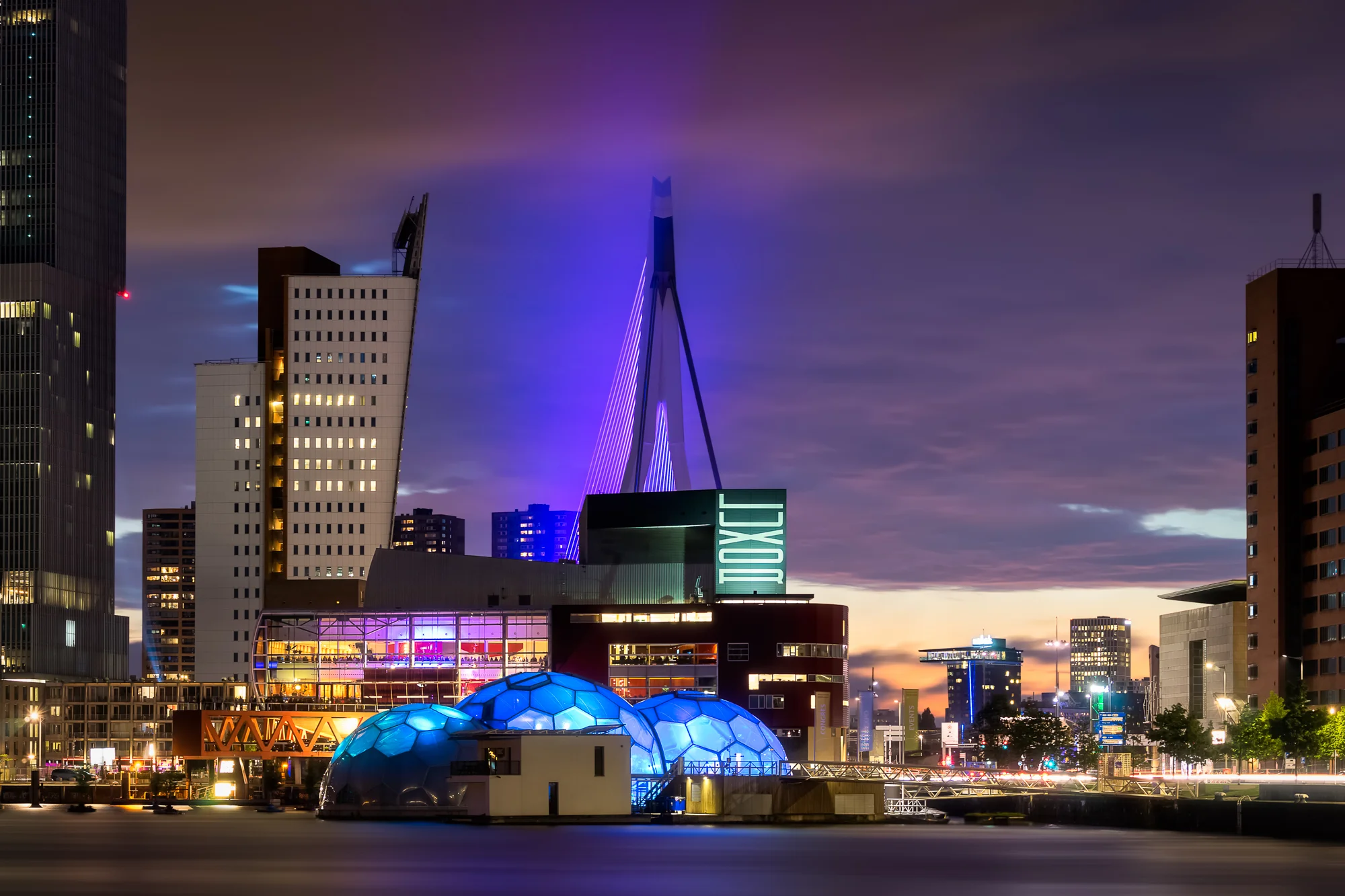 Rotterdam Nights no.jpg