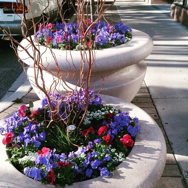 Planters - Changed Seasonally