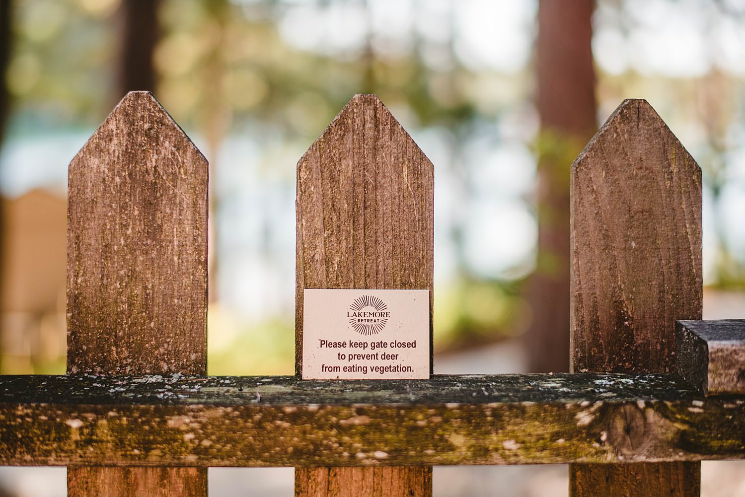 Northern Michigan Nature Backyard Elopement Intimate Wedding 13.jpg