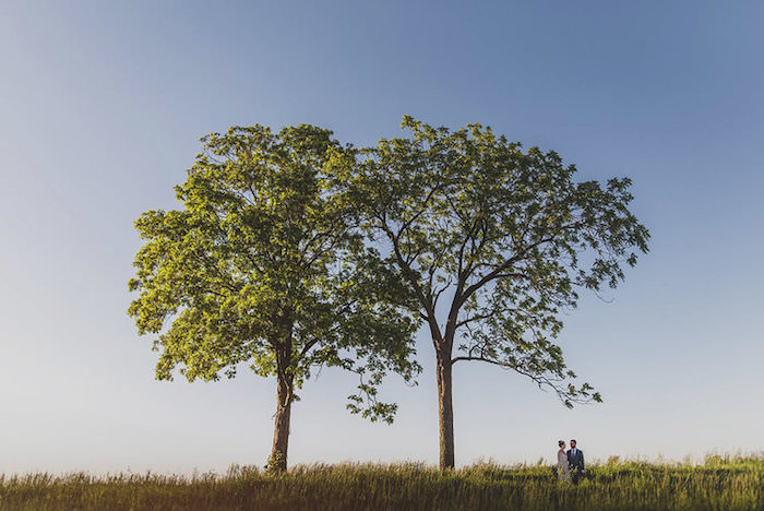Brandy+Evan+-+Wedding+at+Blissful+Barn+in+Three+Oaks,+Michigan+-+138-1.jpg