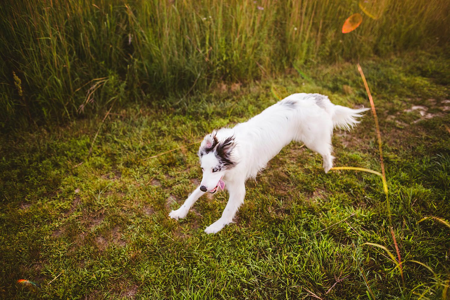 Grand Rapids Maternity Photographer - Rockford, MI Session 17.jpg