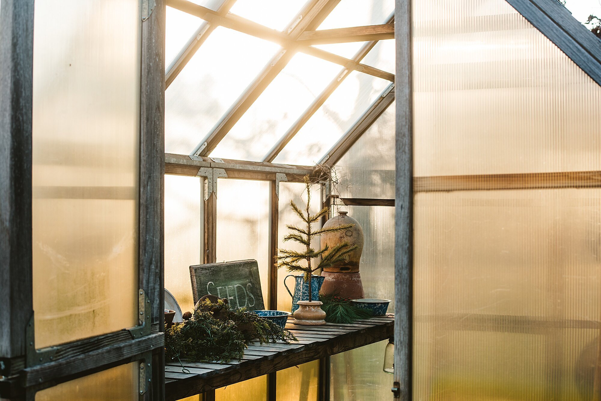 2020 Backyard Greenhouse Mini Sessions