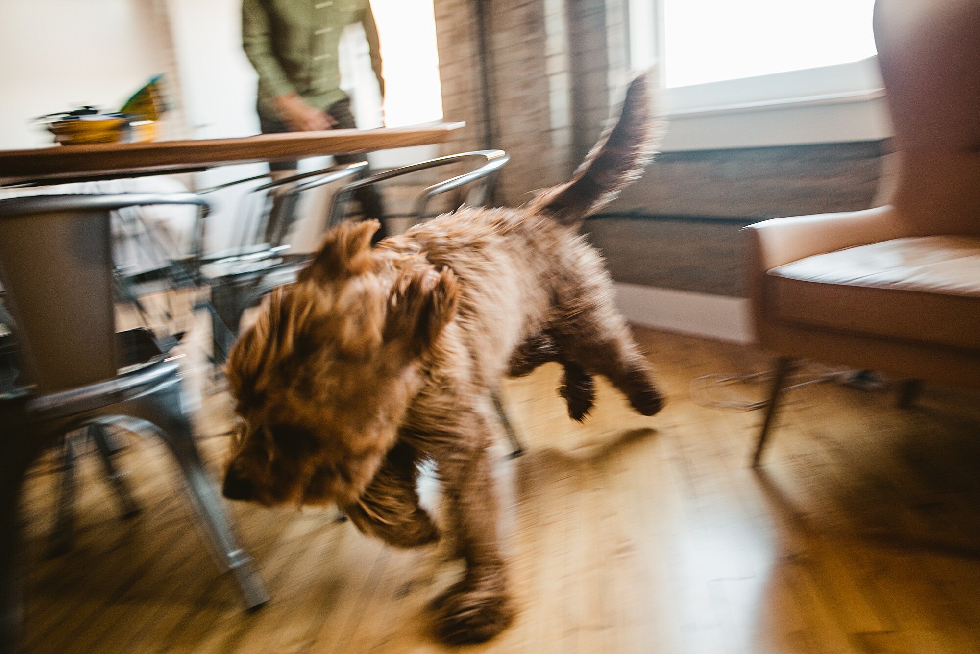 Grand Rapids Pet Photography - Couples portraits by Ryan Inman 5.jpg