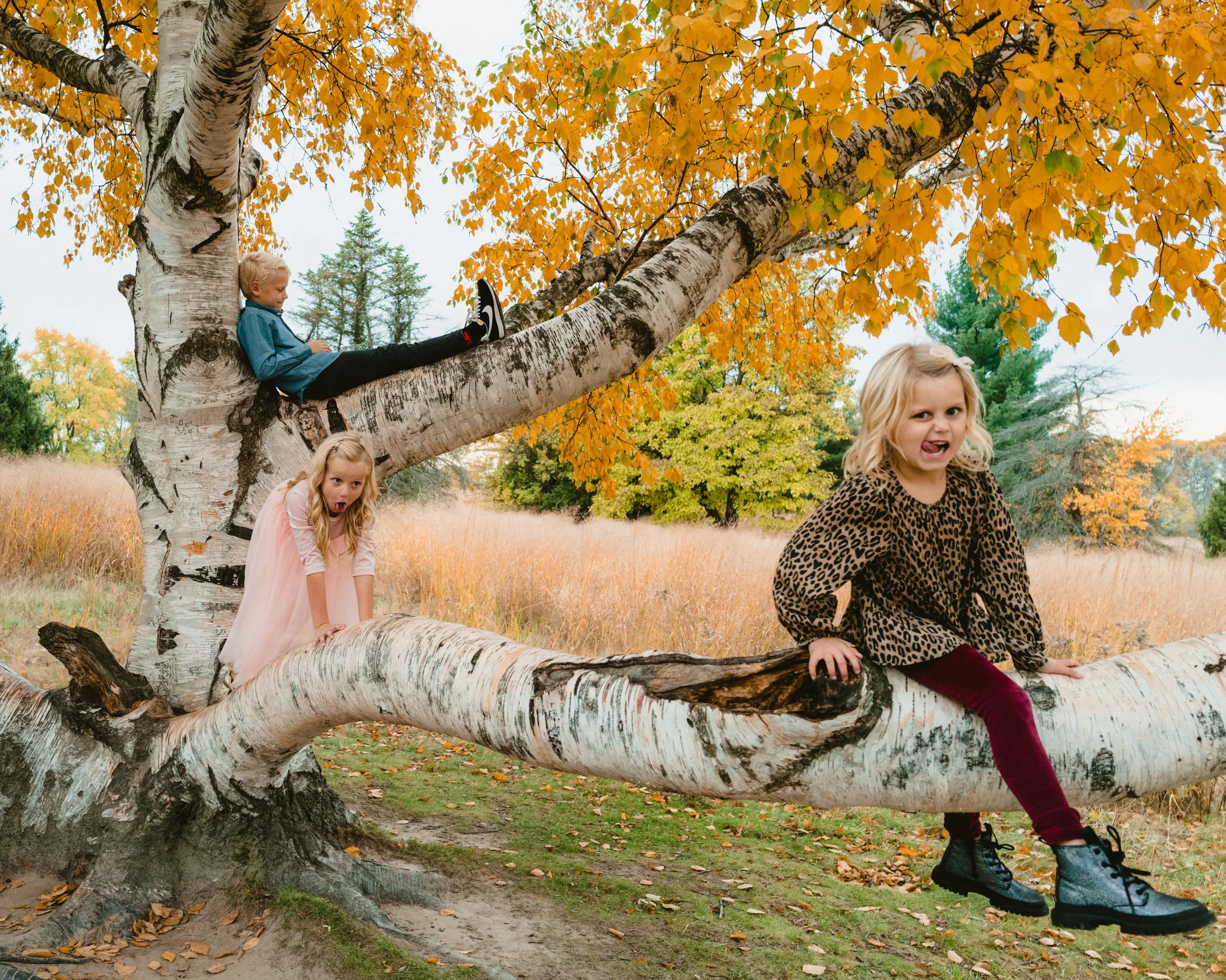 Children Portraits in Autumn in Grand Rapids - by Ryan Inman .jpg
