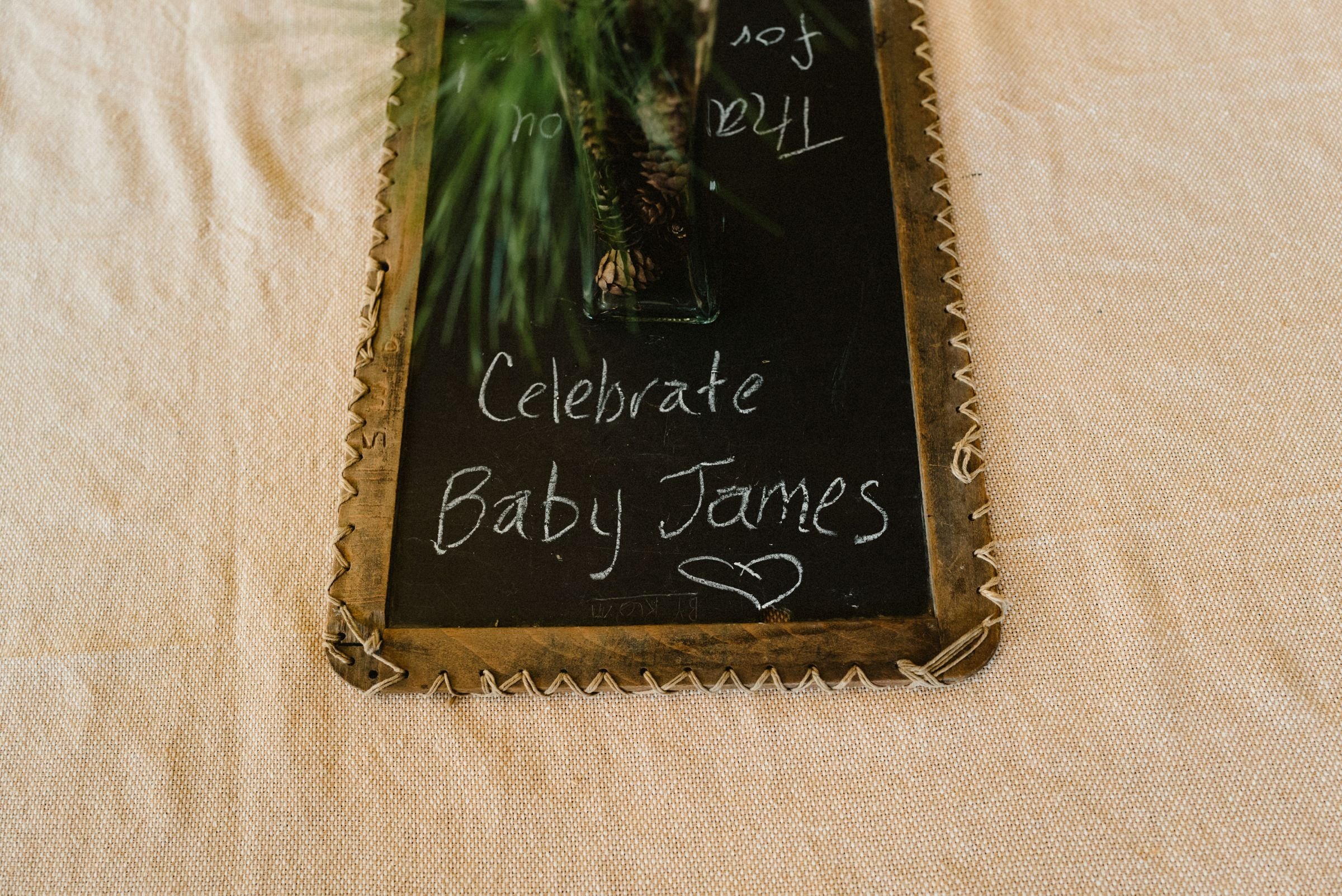 Katelynn Outdoor Themed Baby Shower Pictures 16.jpg