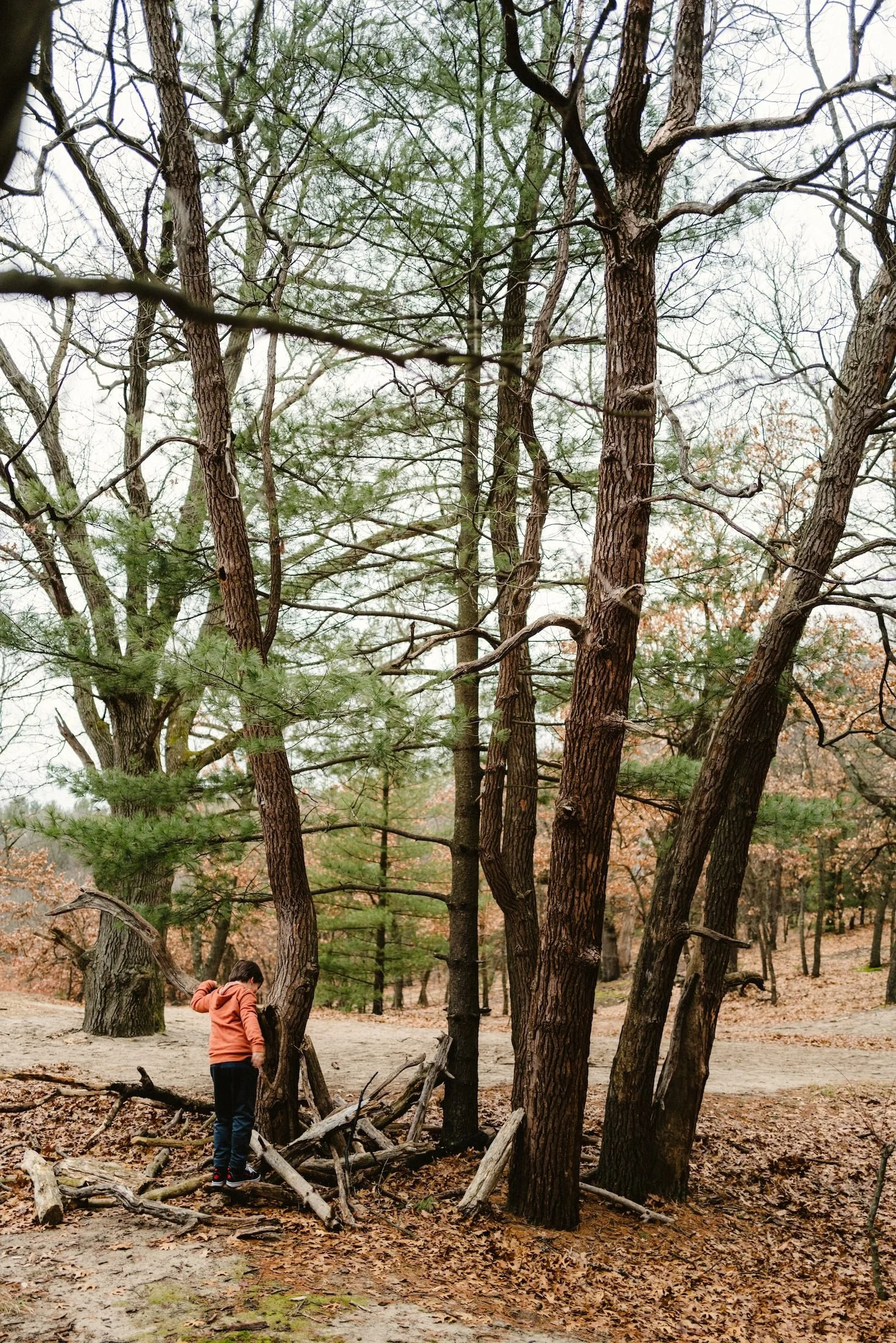 Provin Trails Grand Rapids Family Pictures by Ryan Inman .jpg