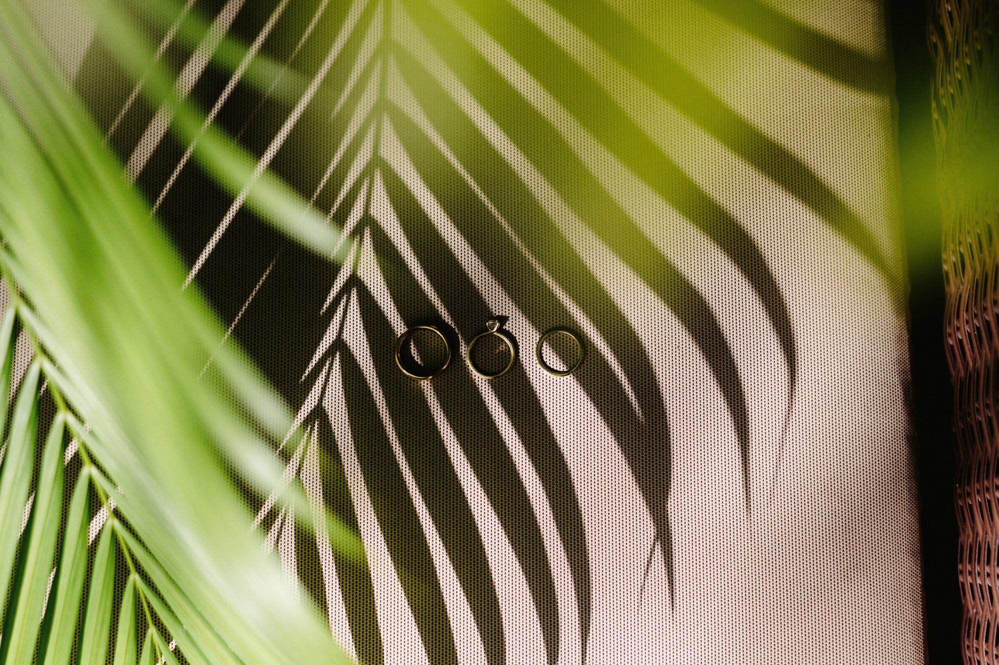 © Ryan Inman - ryaninman.com